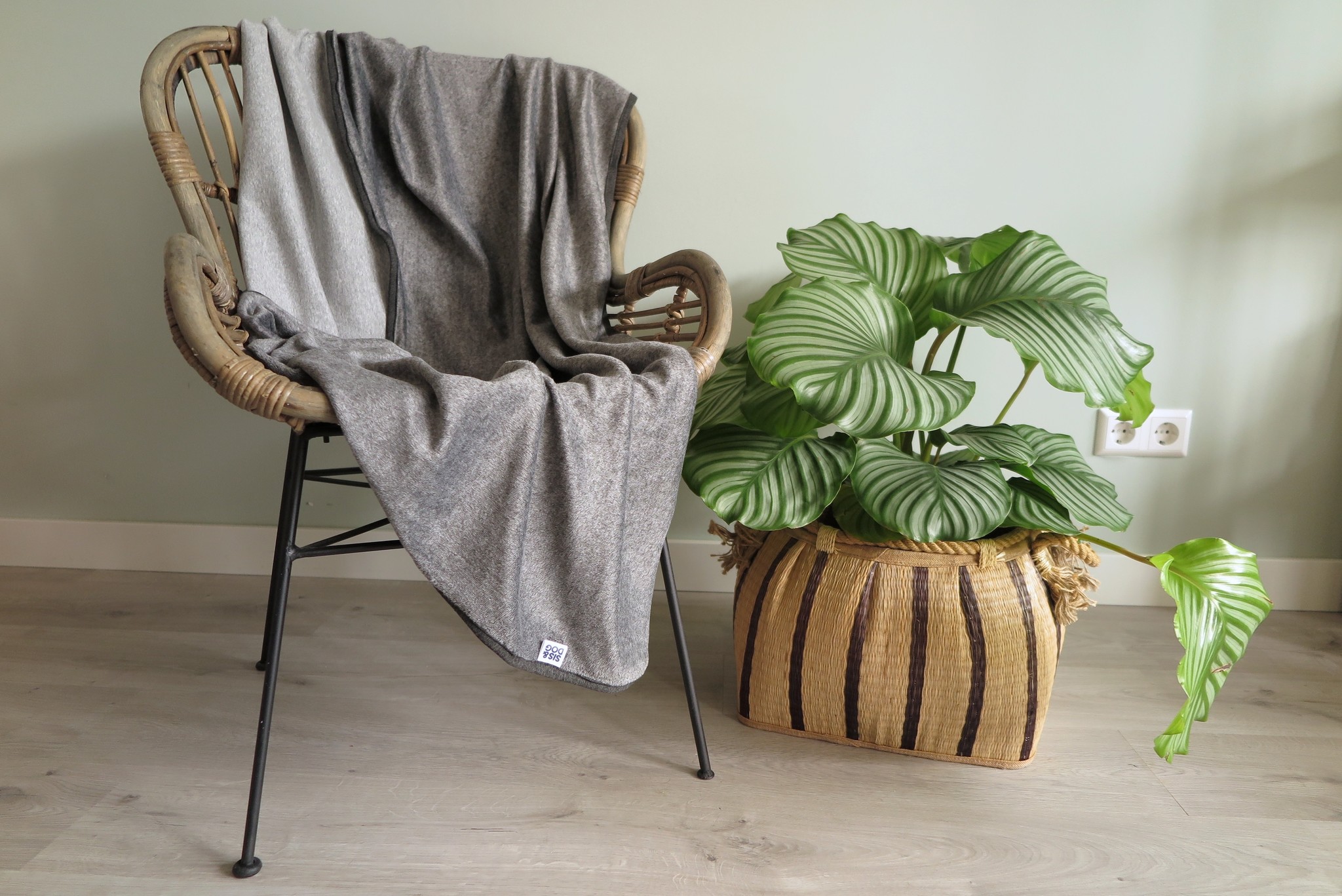 Greystone blanket Sis and Dog