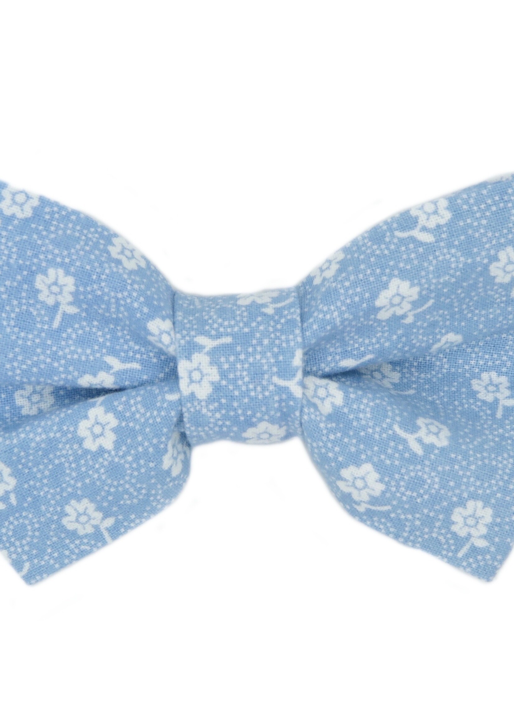Bowtie jasmin