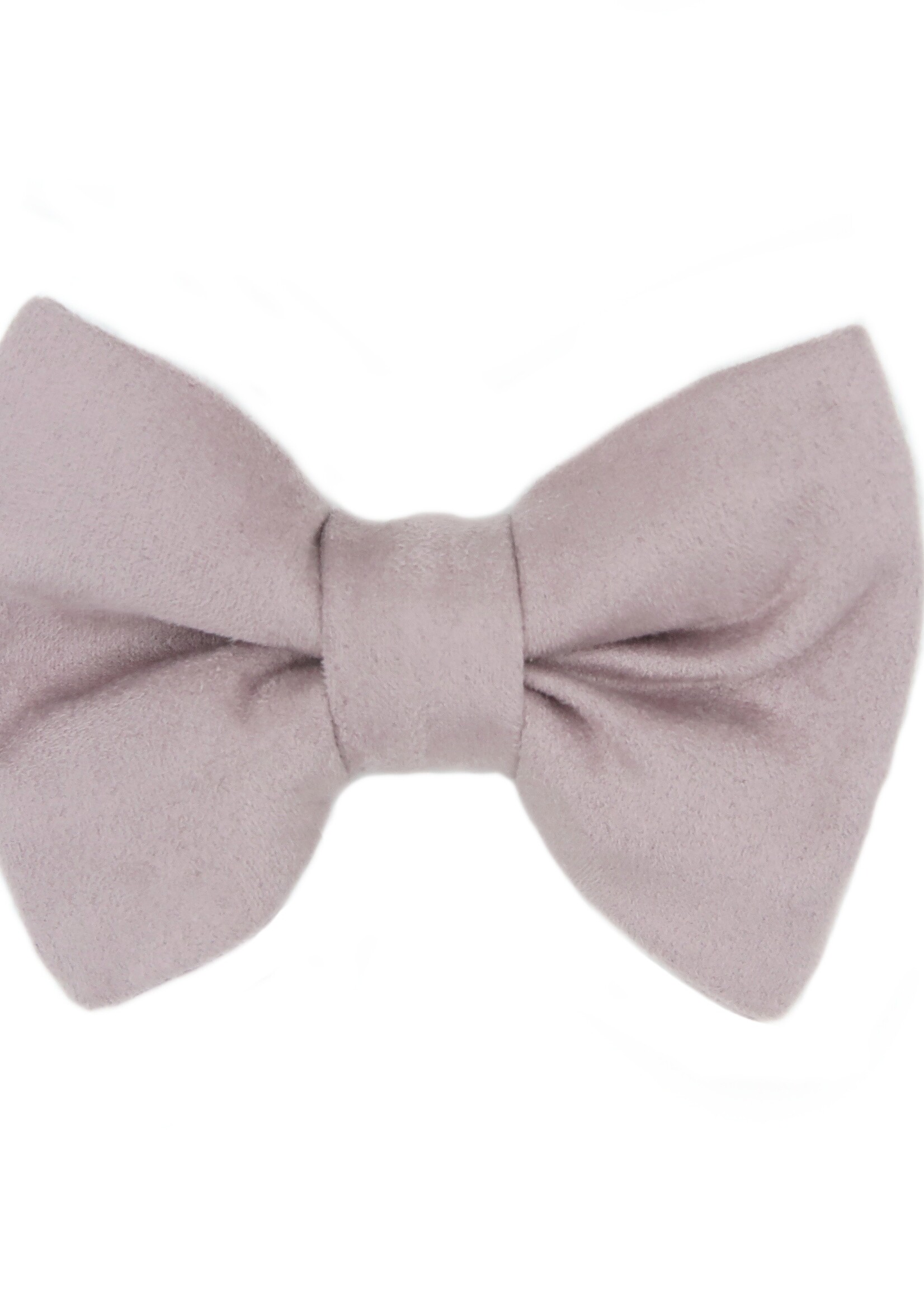 Bowtie pink