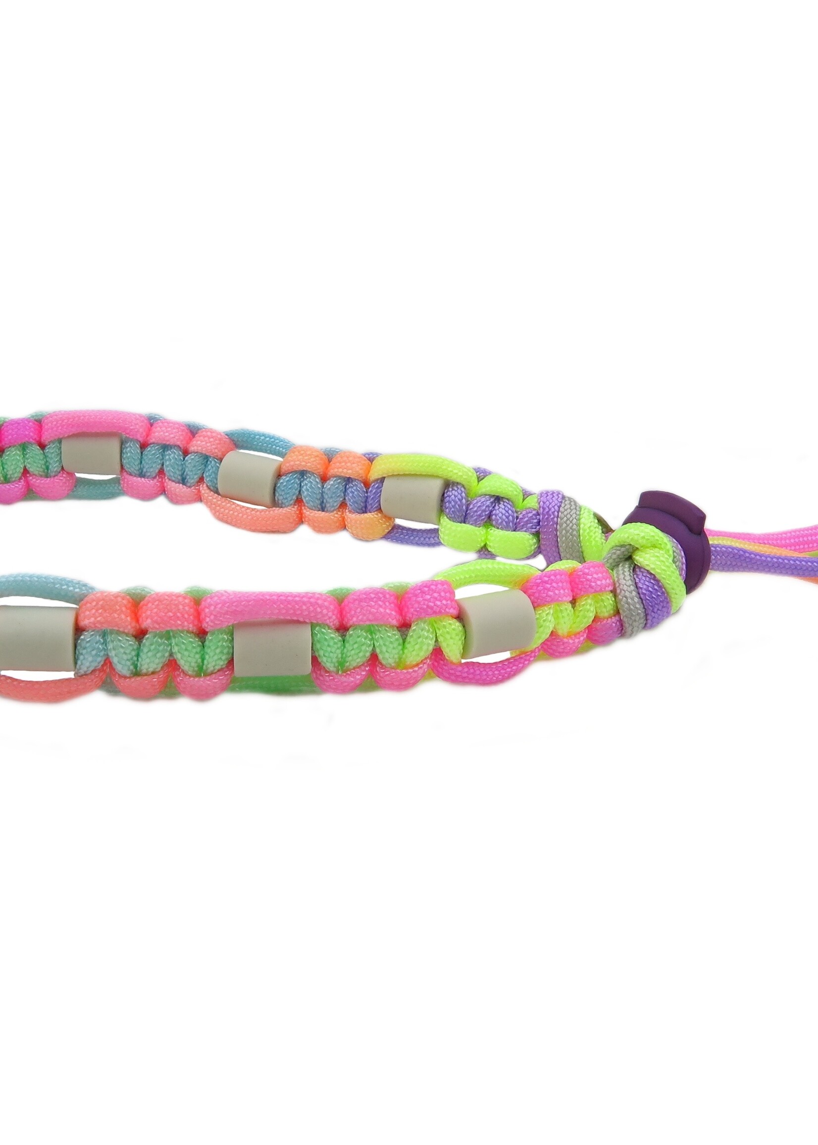 Anti tick collar rainbow flat