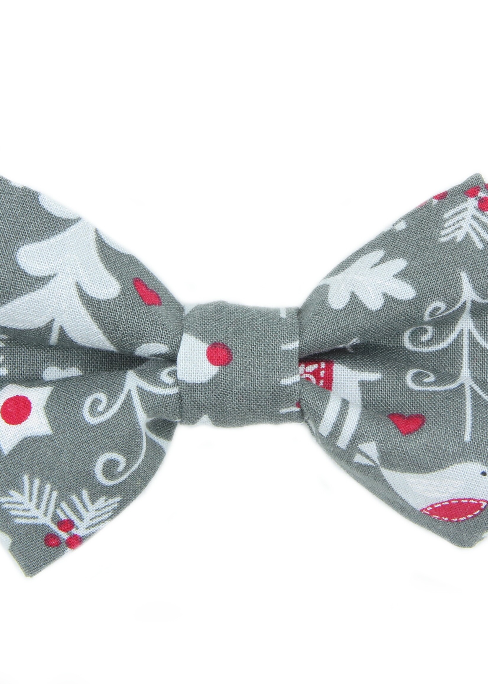 Bowtie winter
