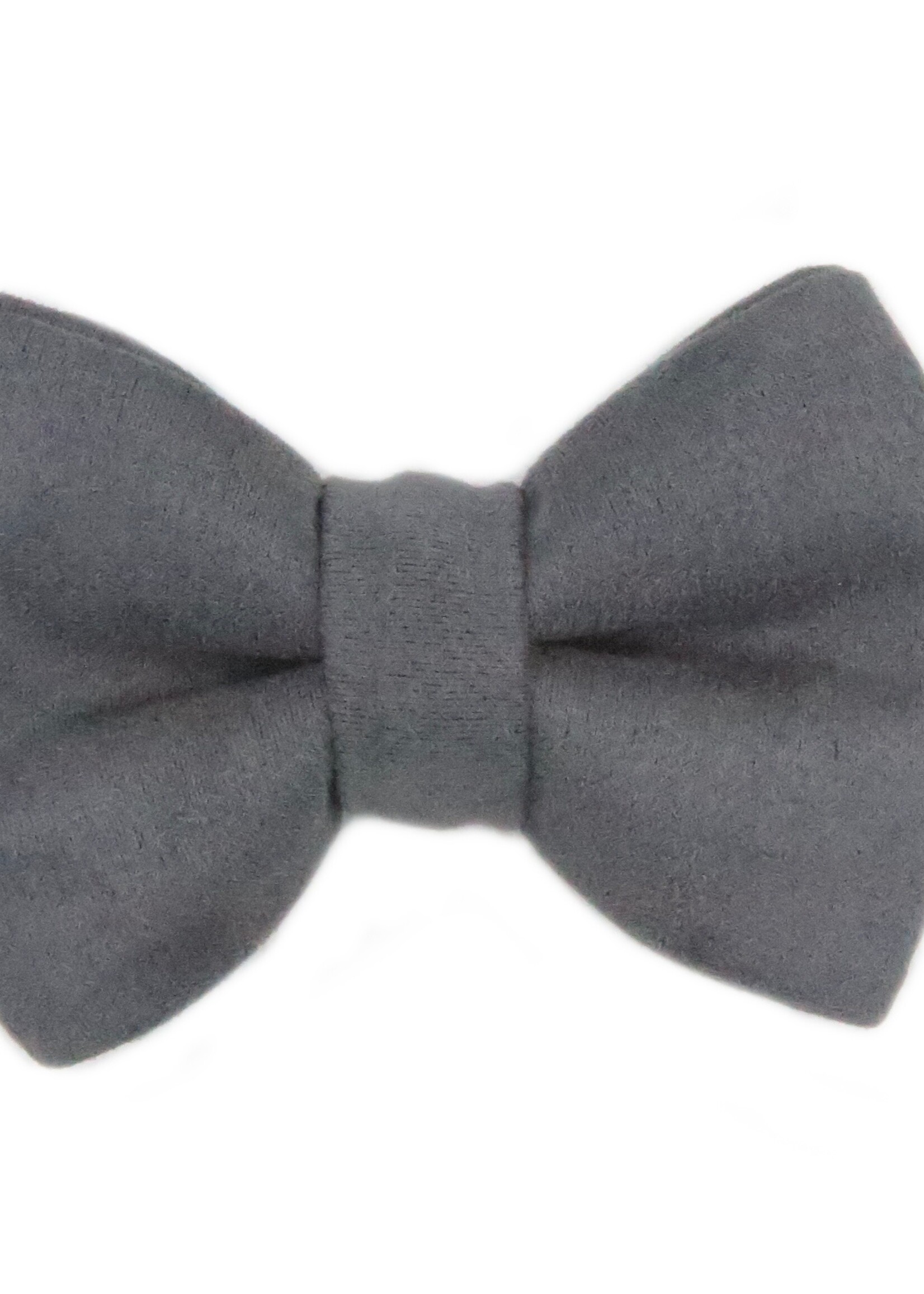 Bowtie grey velvet
