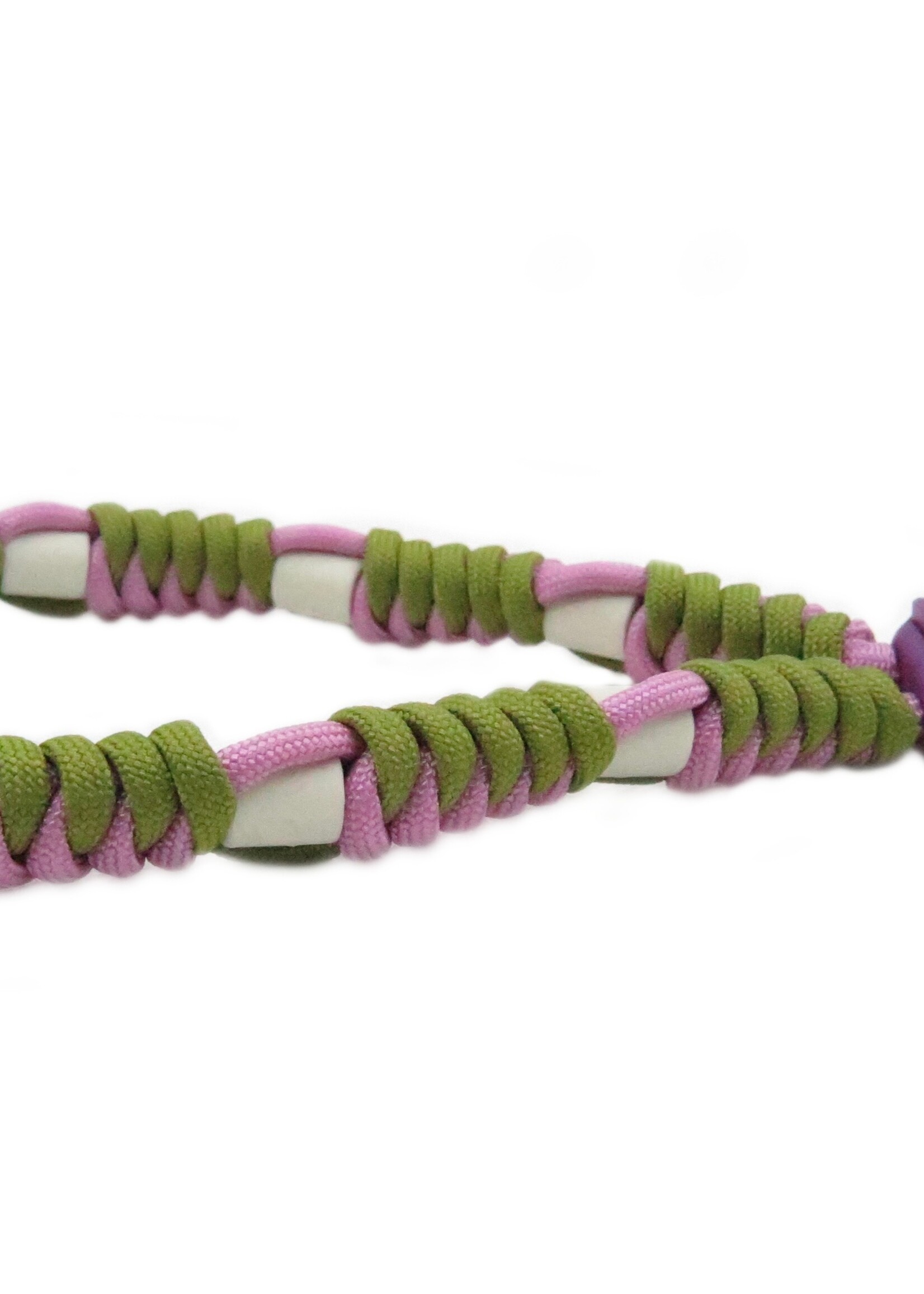 Spring ronde honden tekenband