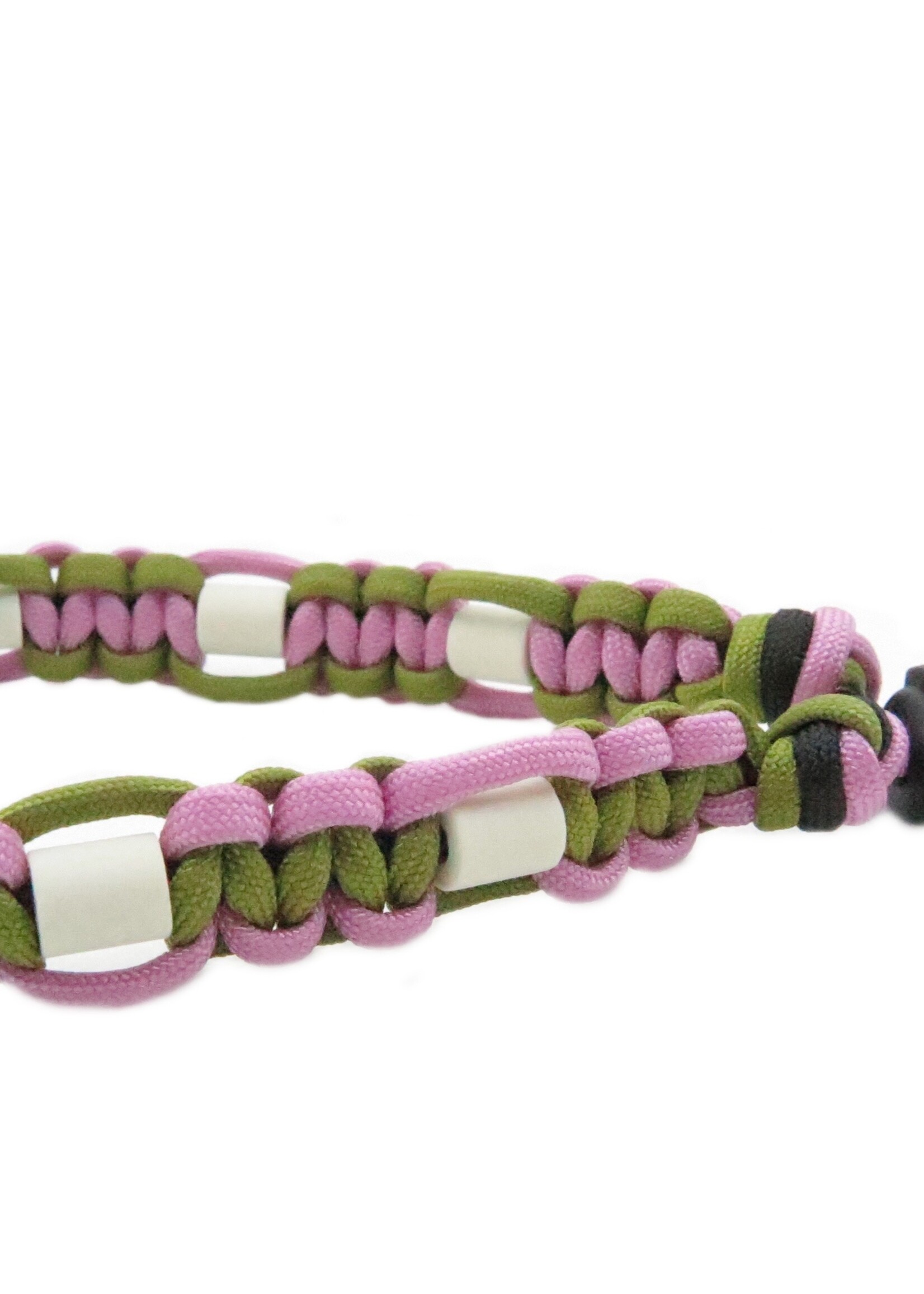 Spring platte honden tekenband