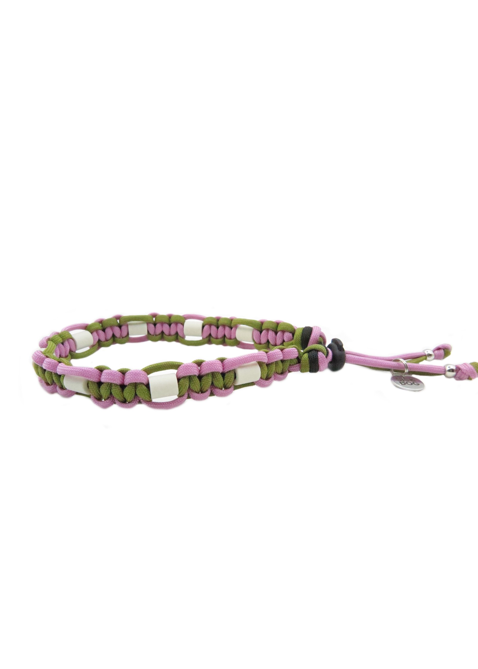 Spring platte honden tekenband