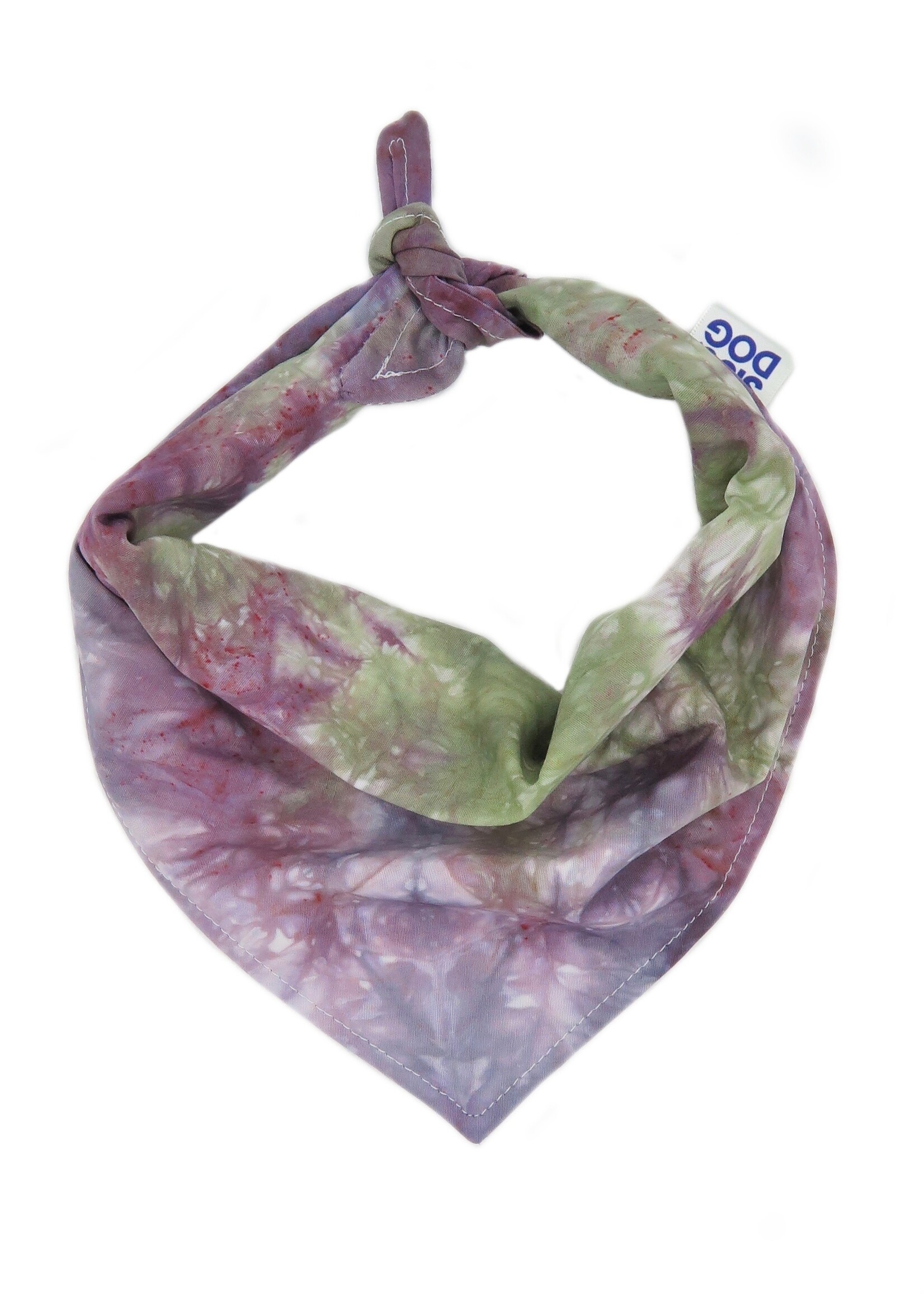 Rocky bandana