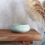 Voer bakjes & snack potten -50%