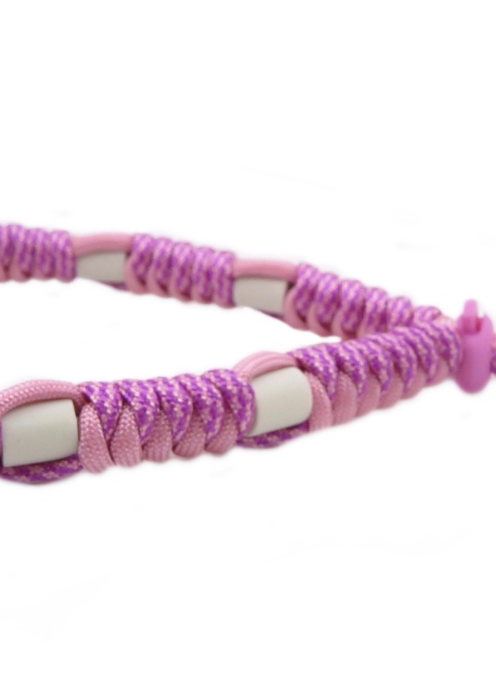 Amore round dog anti tick collar