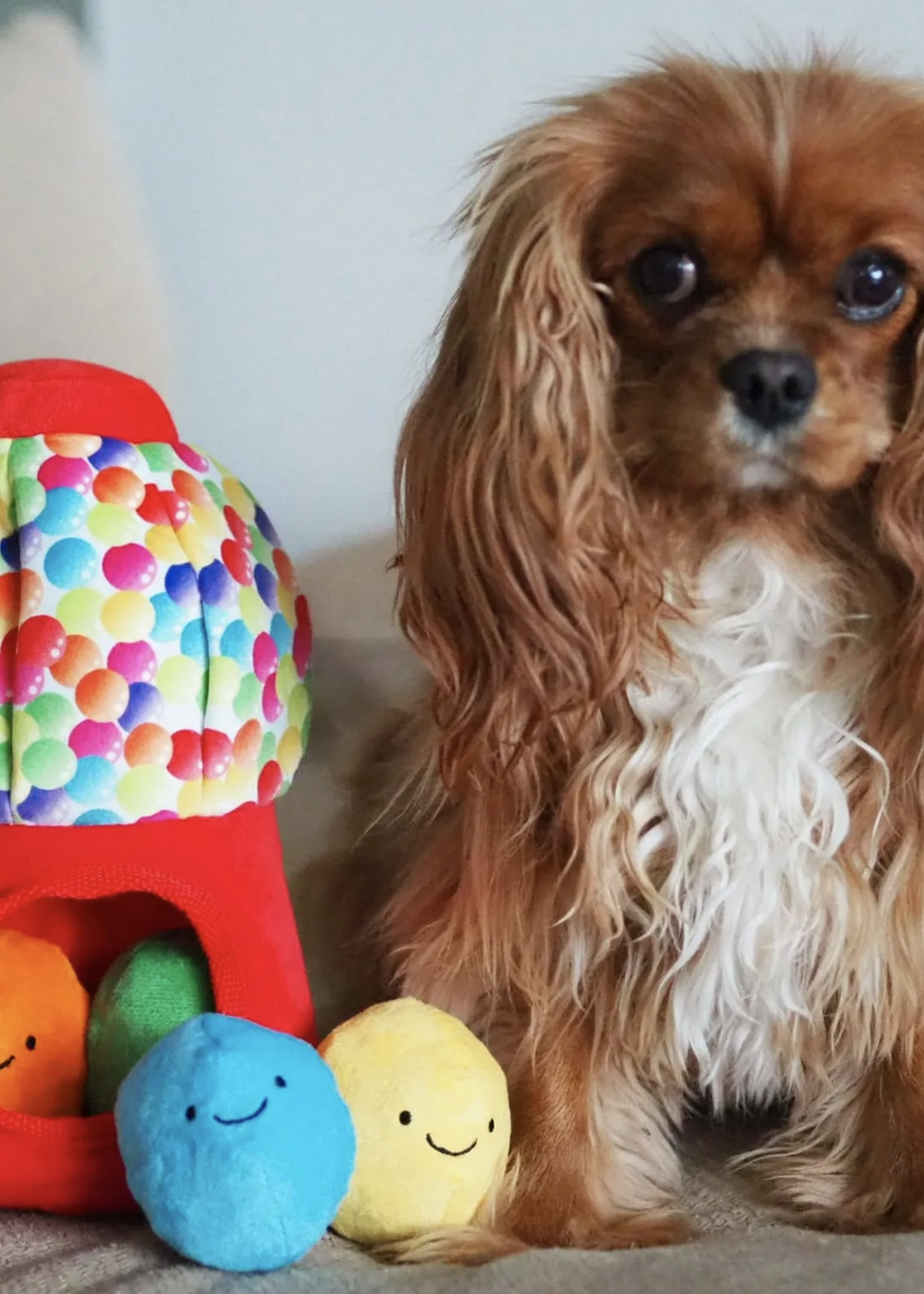 Pawstory - Snuffles Happy gumballs