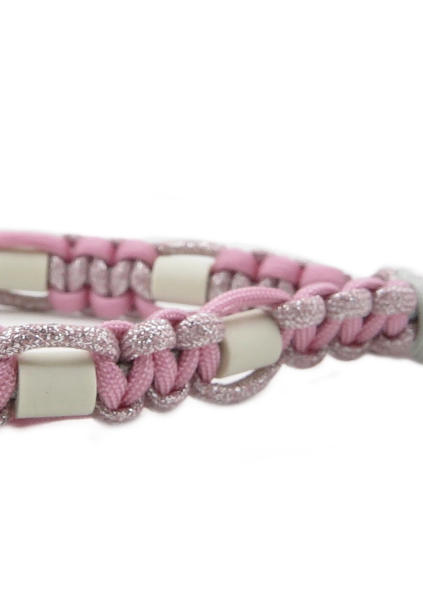 Flamingo platte honden tekenband