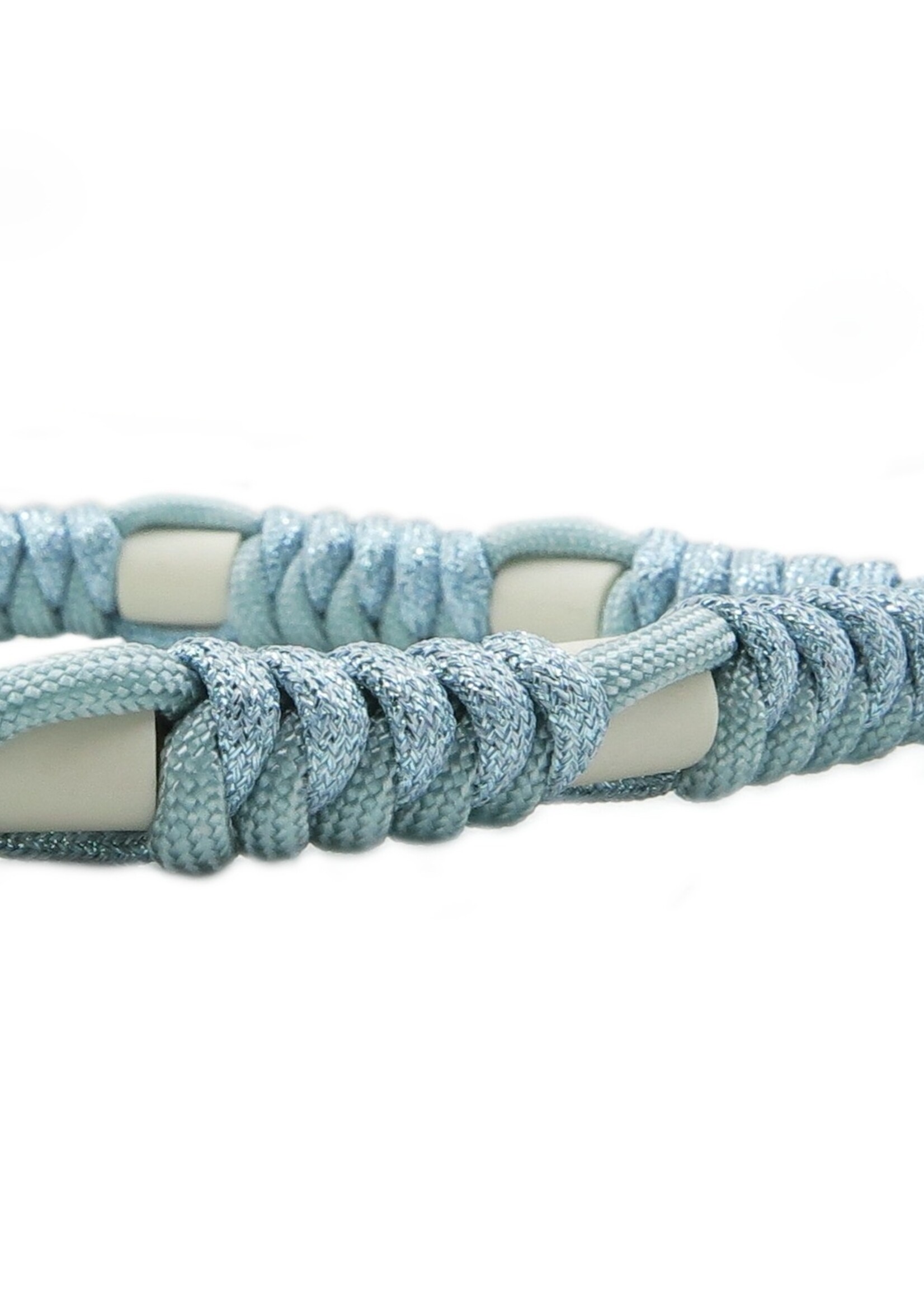 Aqua ronde honden tekenband