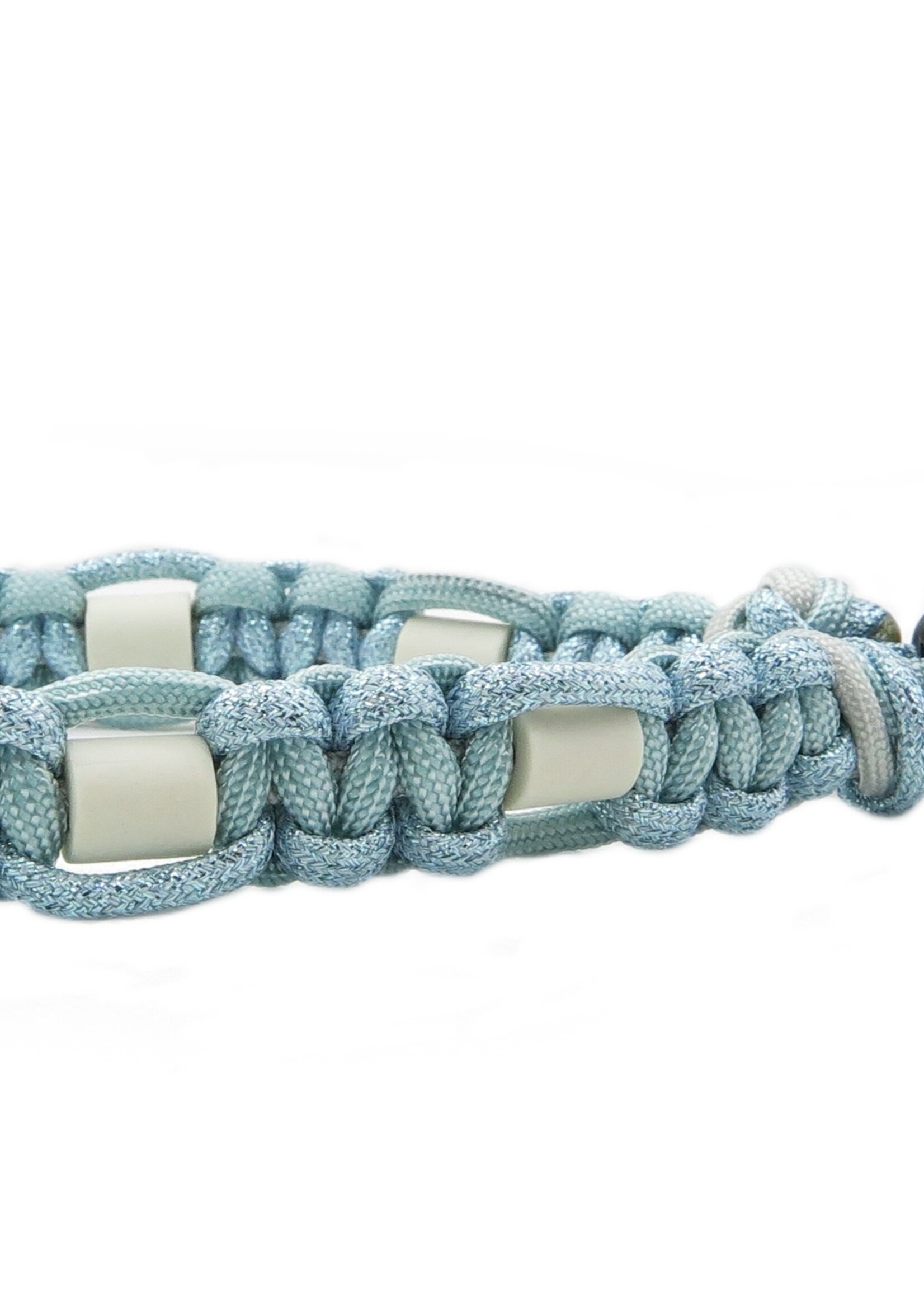 Aqua flat dog anti tick collar