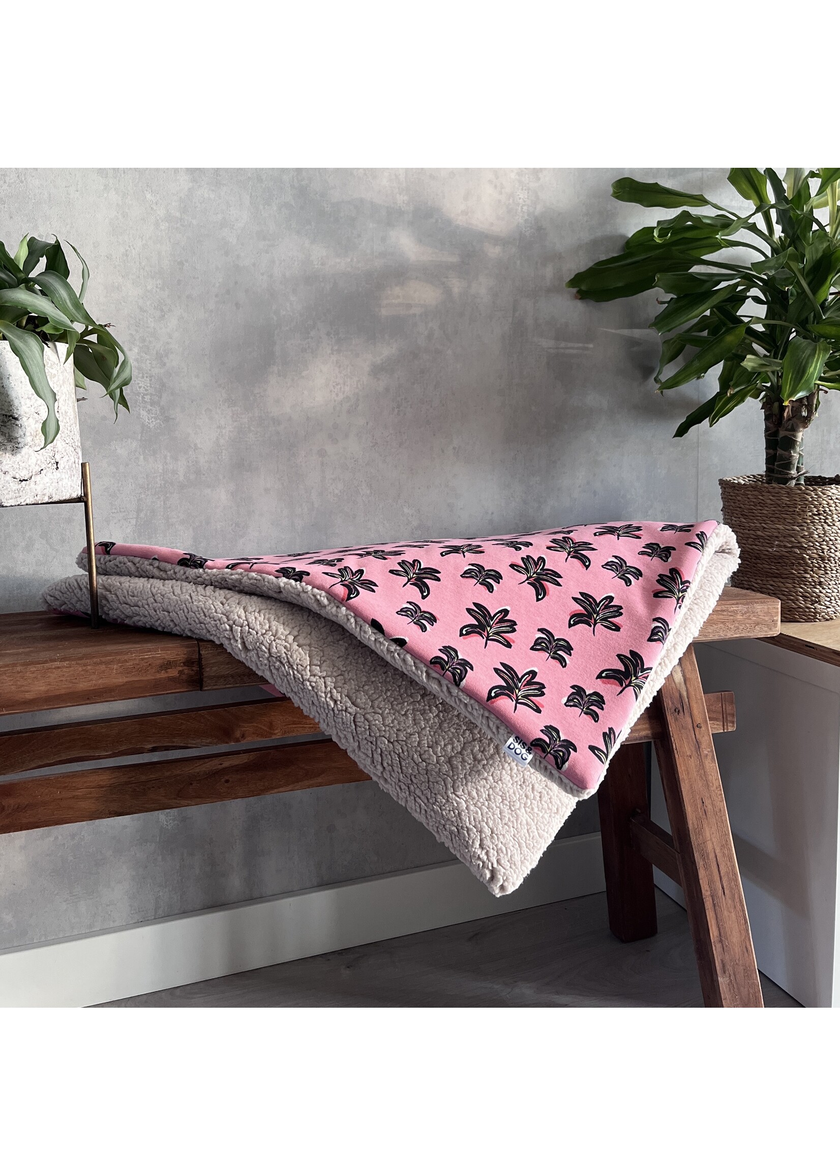 Havana dogblanket