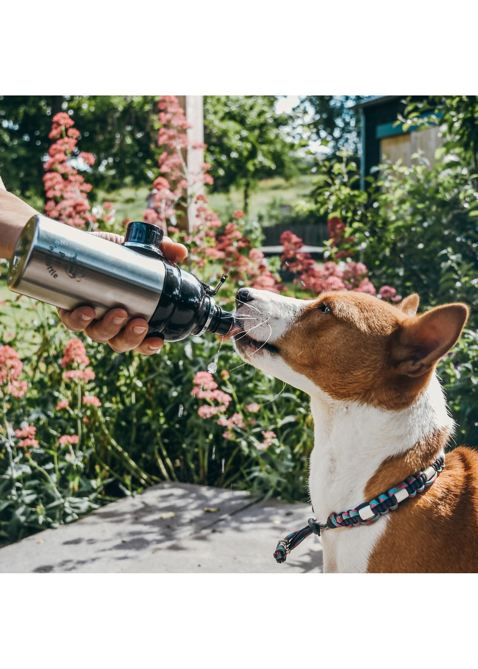 Navy friend waterbottle