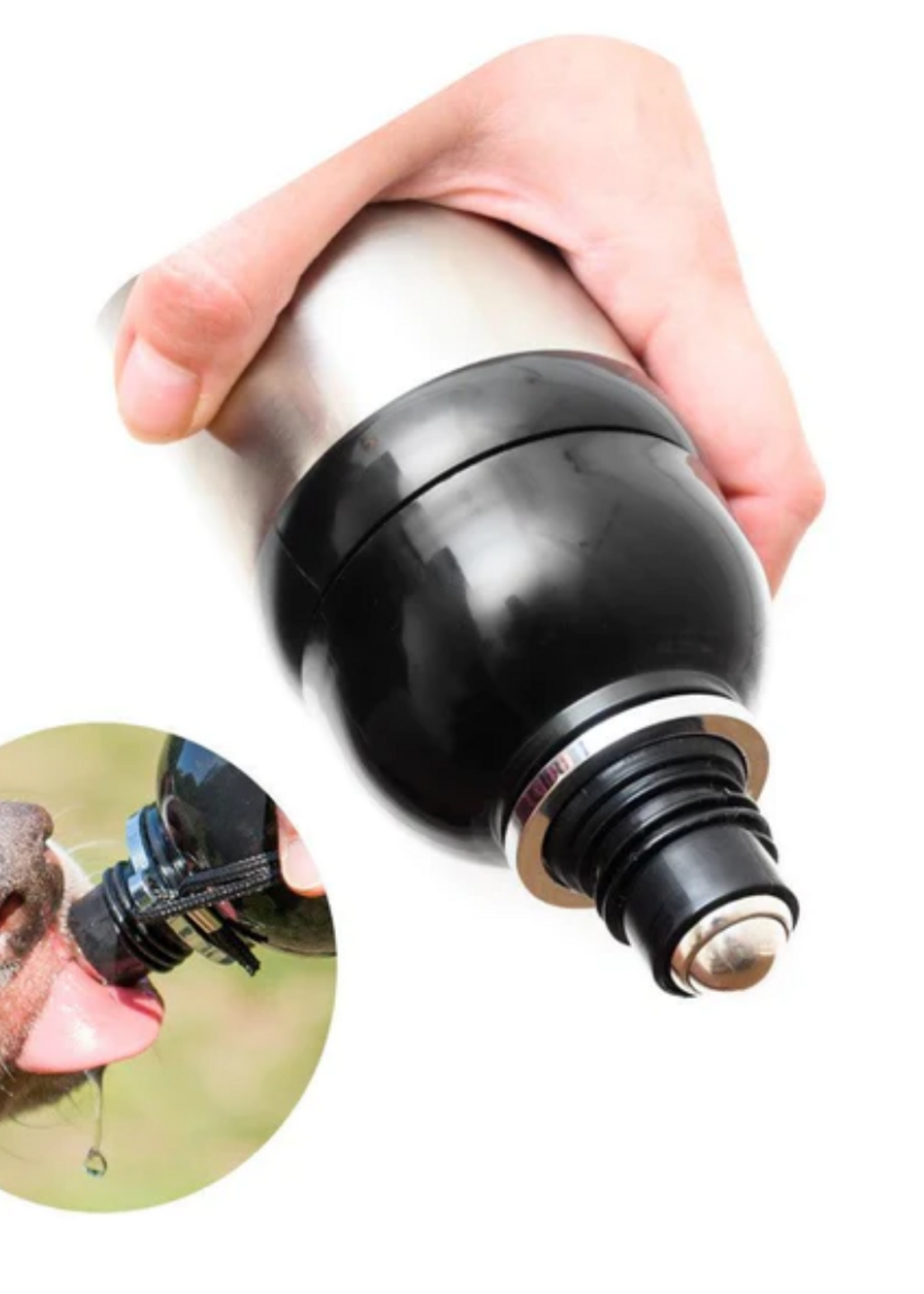 Silver Long Paws water fles