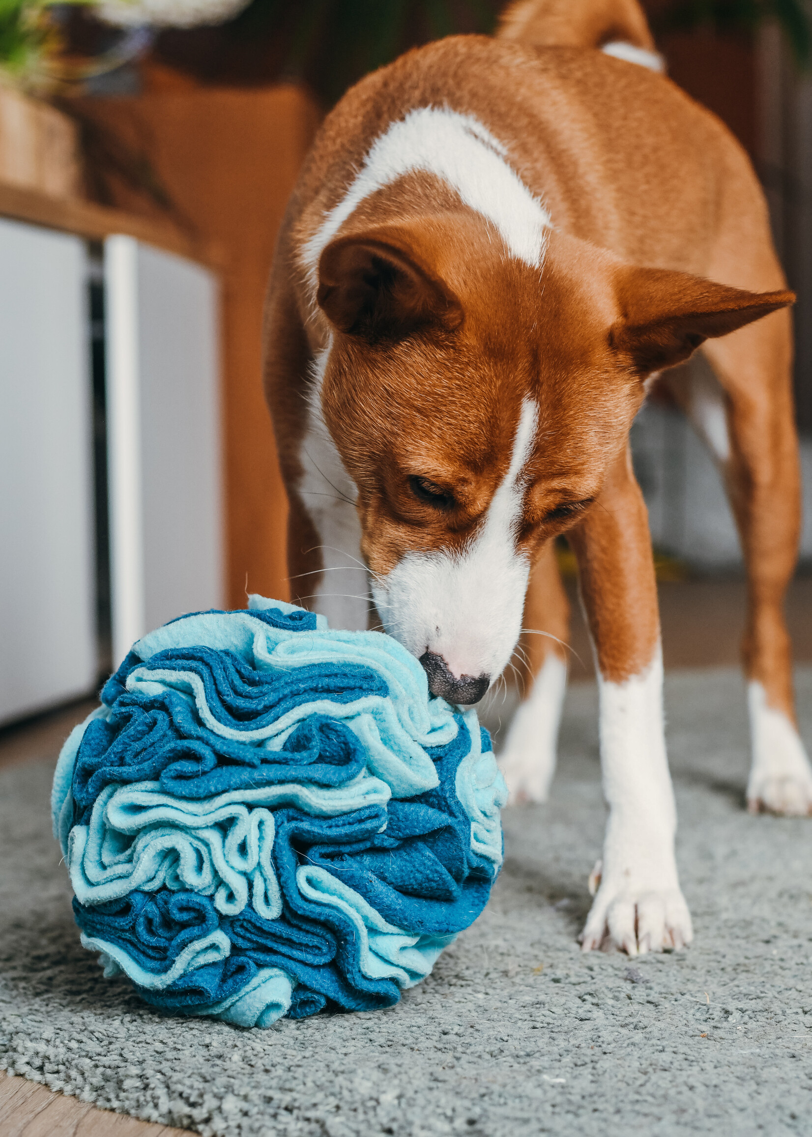 Snuffleball royal purple