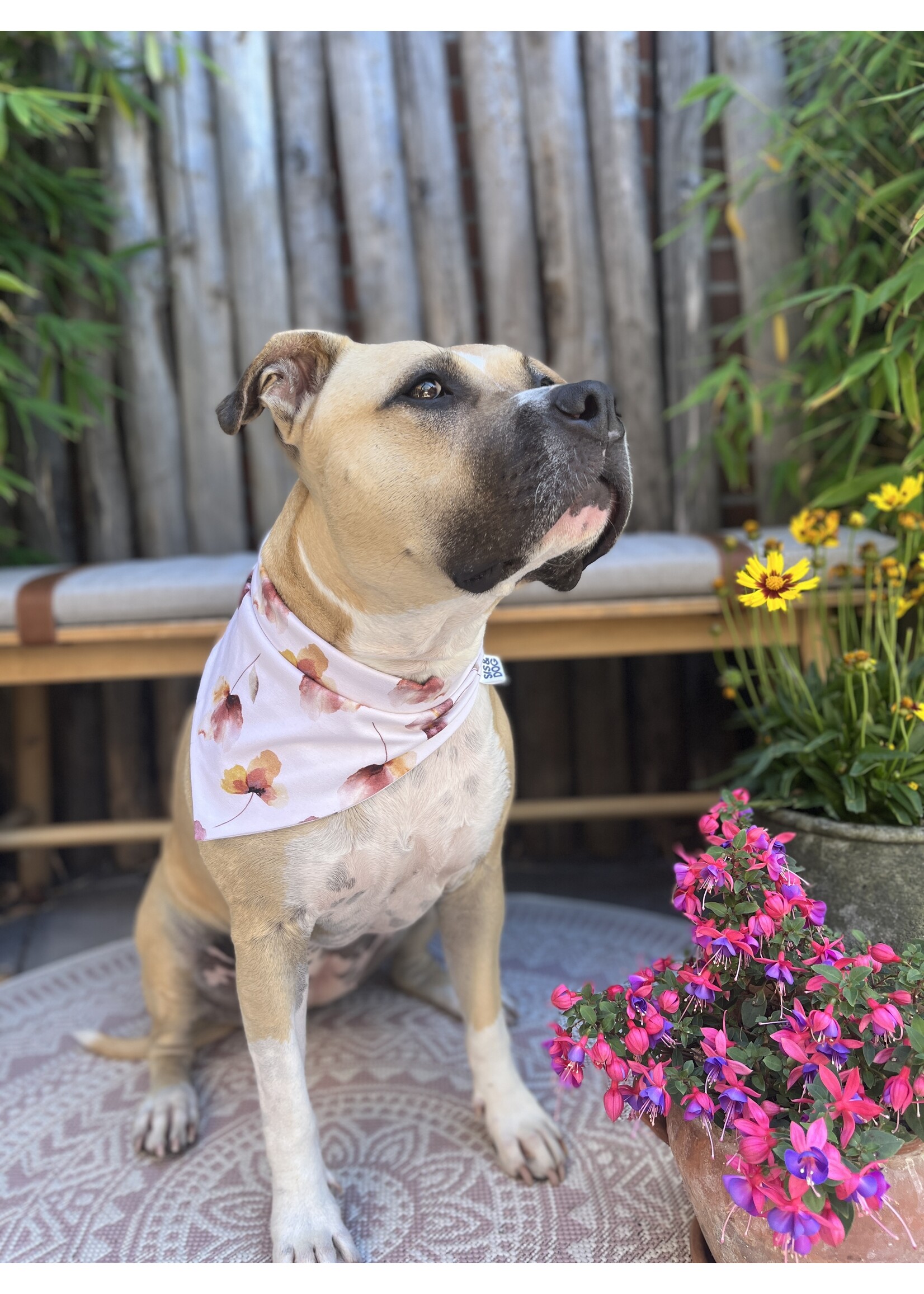 Ivy bandana