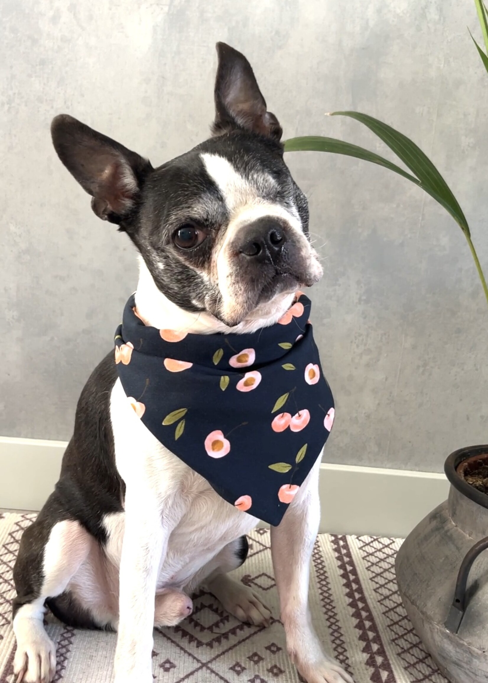 Young cherry bandana