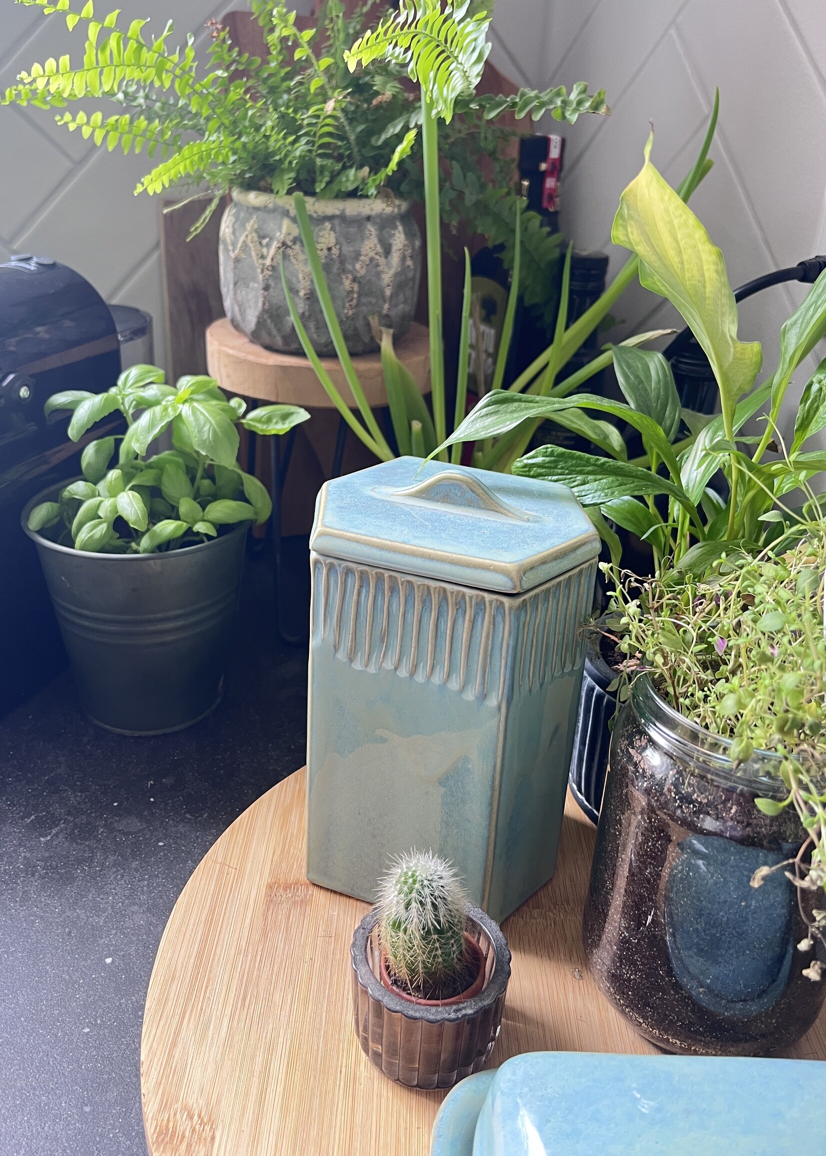 Mint snack pot