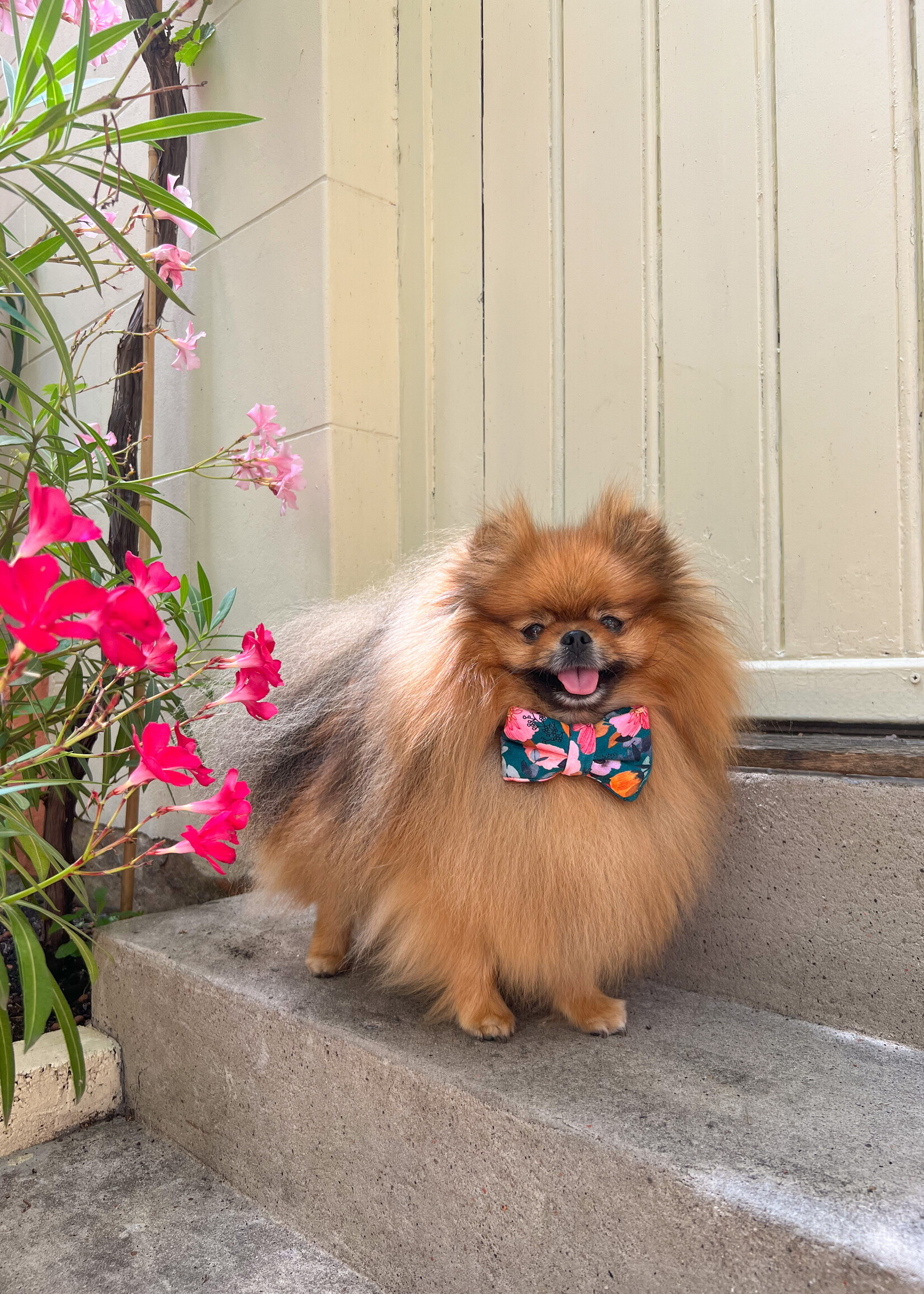 Botanic bowtie