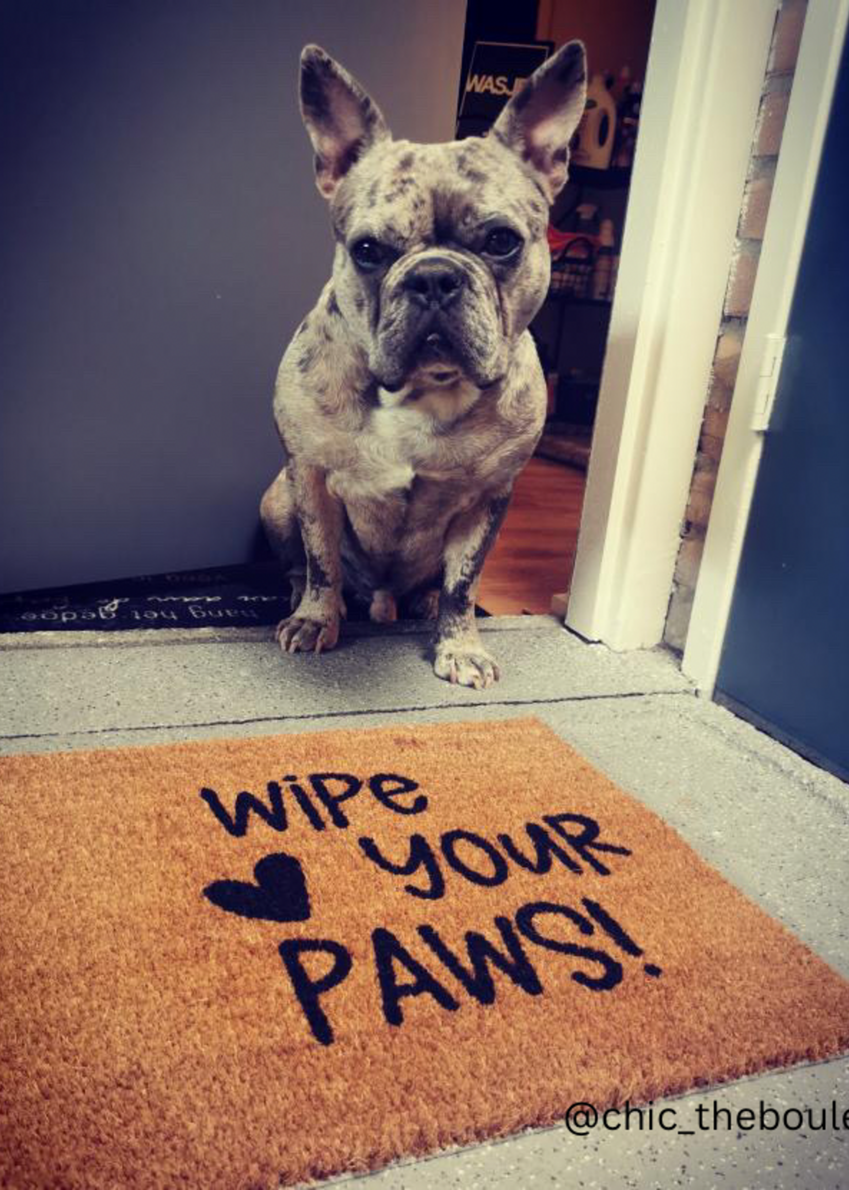 Wipe your paws doormat