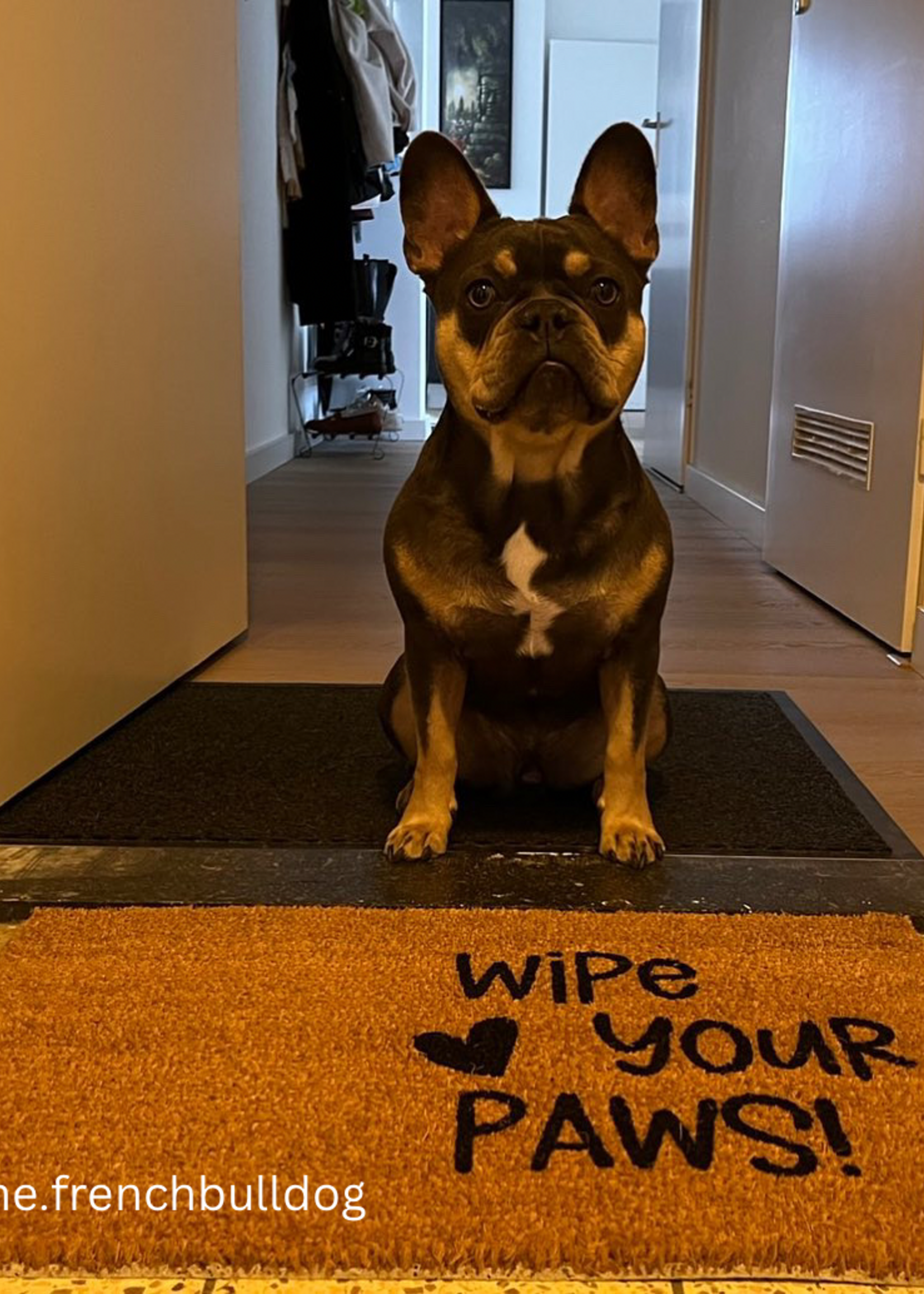 Wipe your paws deurmat