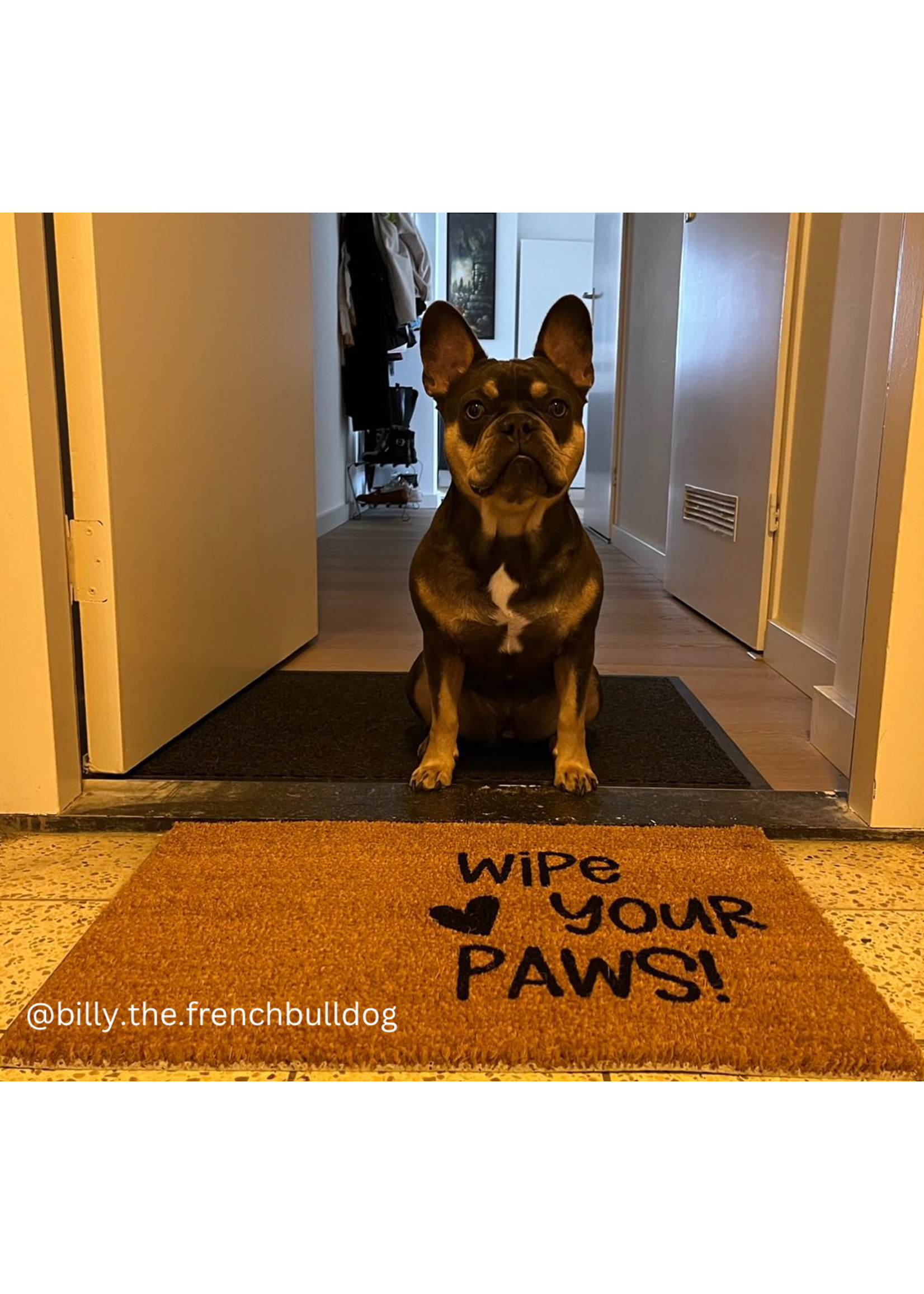 Wipe your paws doormat