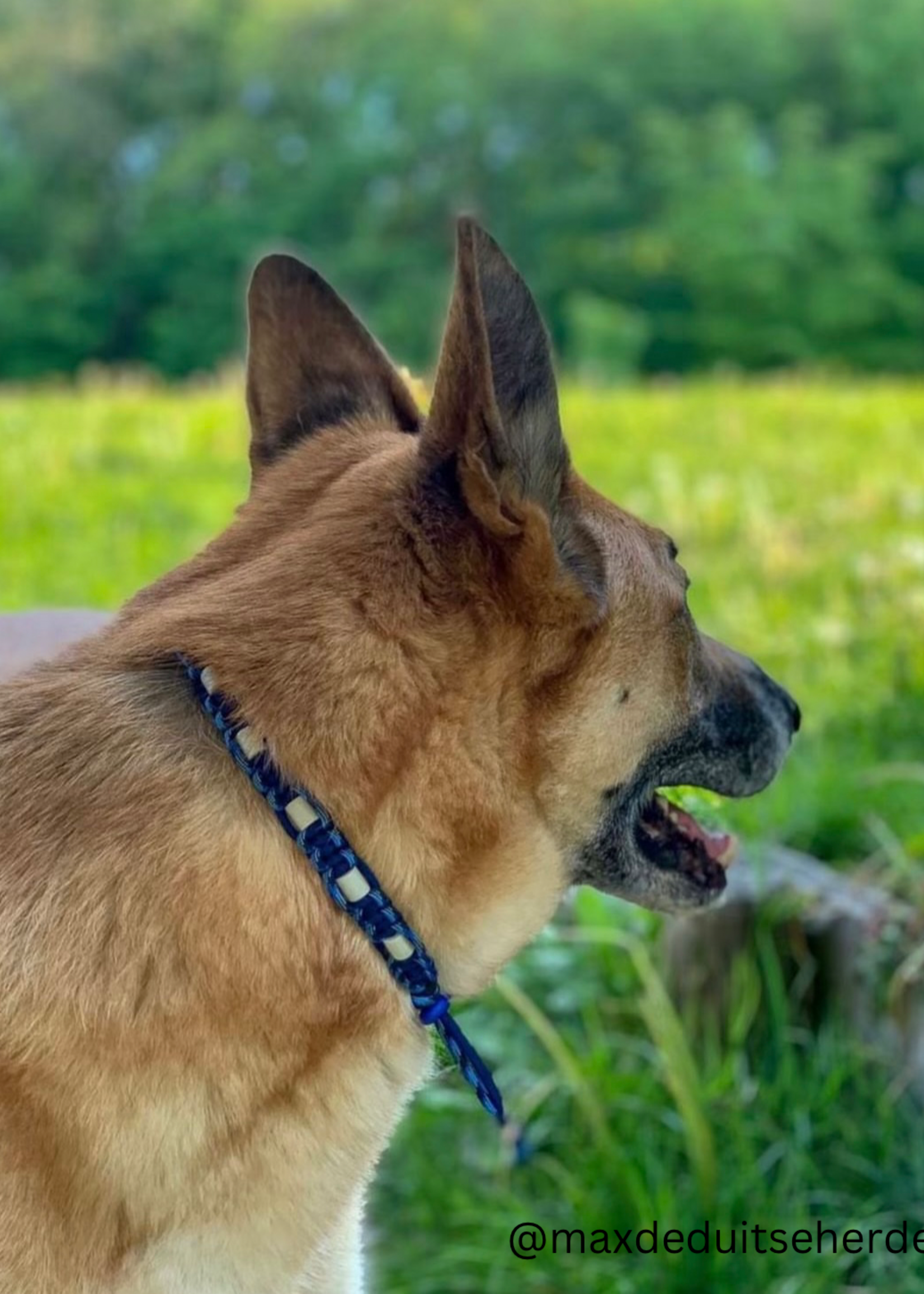 Anti Tick Collar Army Blue