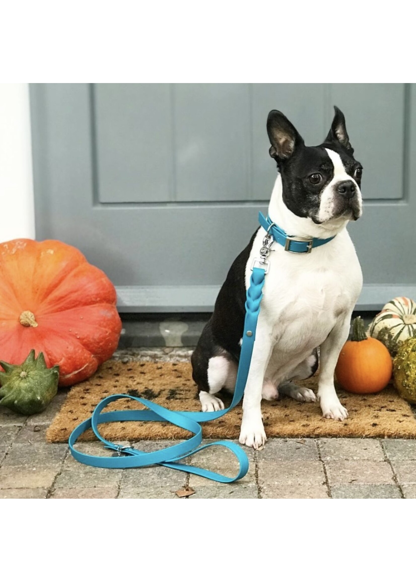 Sky Blue Rope Dog Leash - All Weather