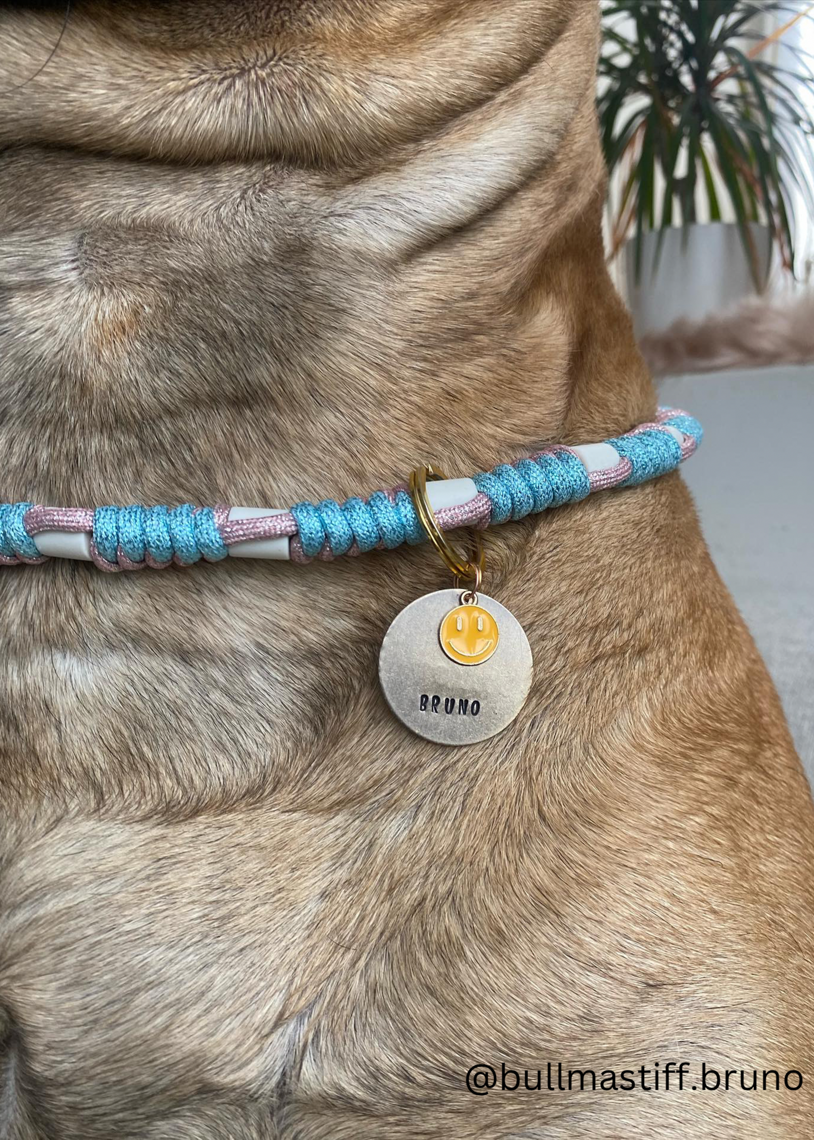 Deep sea round dog anti tick collar