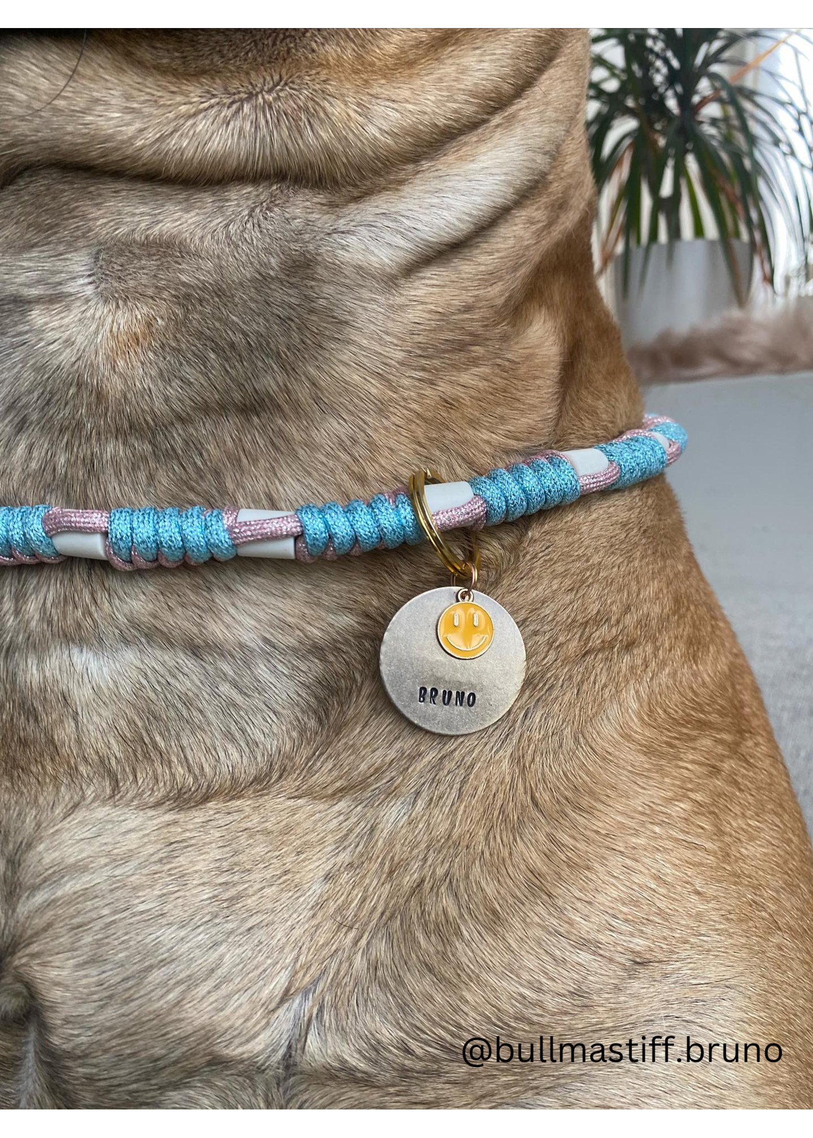 Deep sea round dog anti tick collar