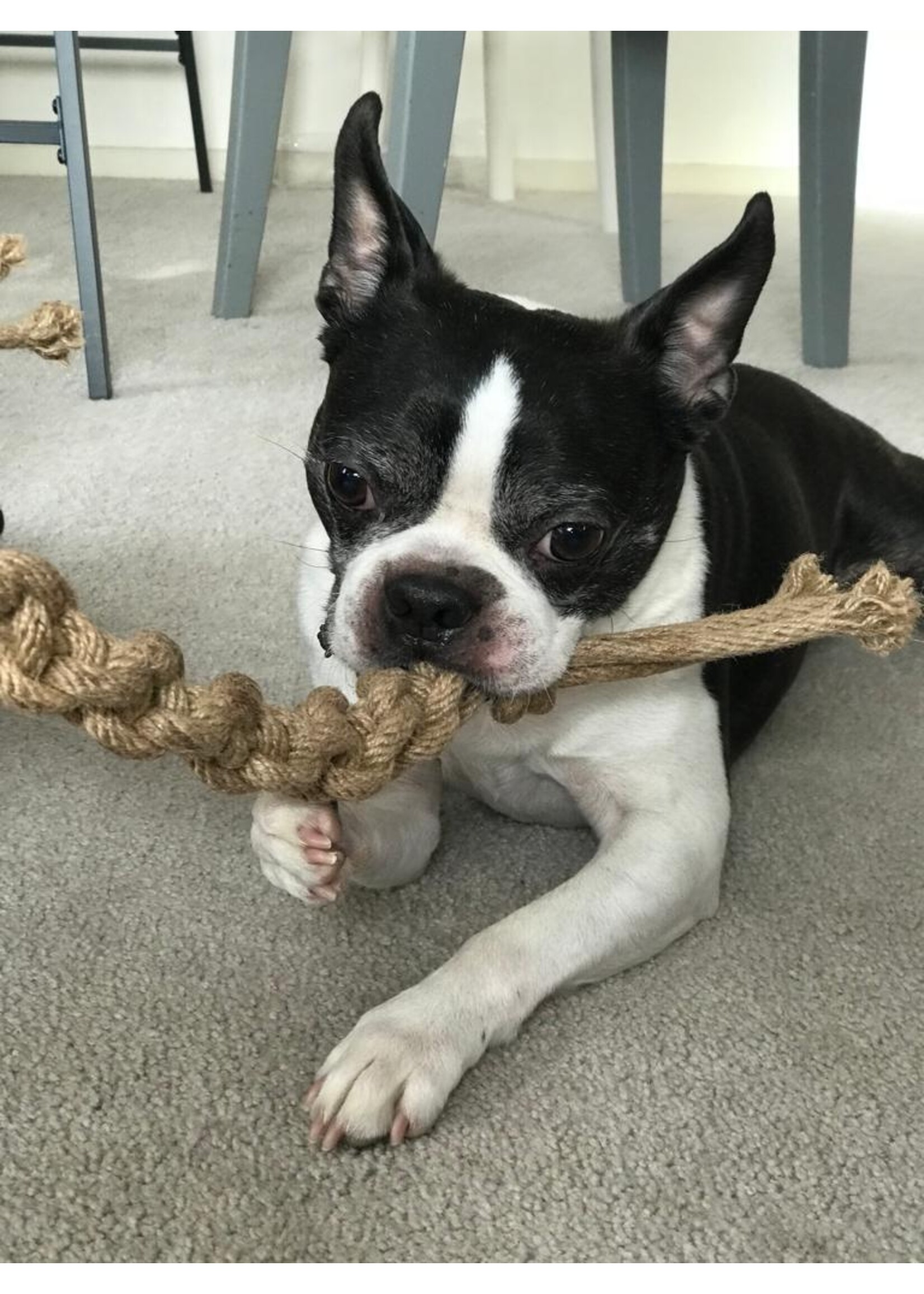 Tug toy jute