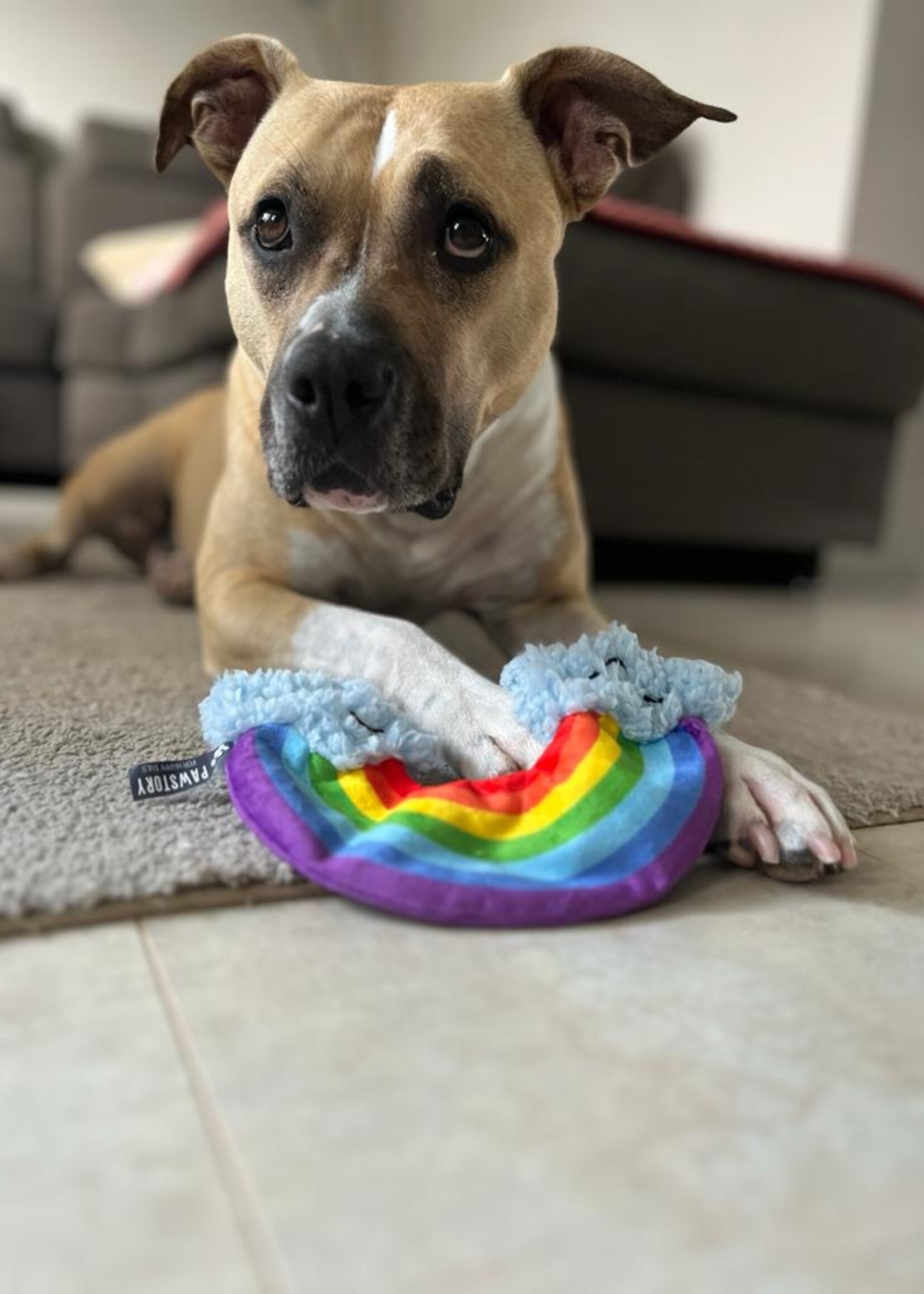 Pawstory - Rainbow ray
