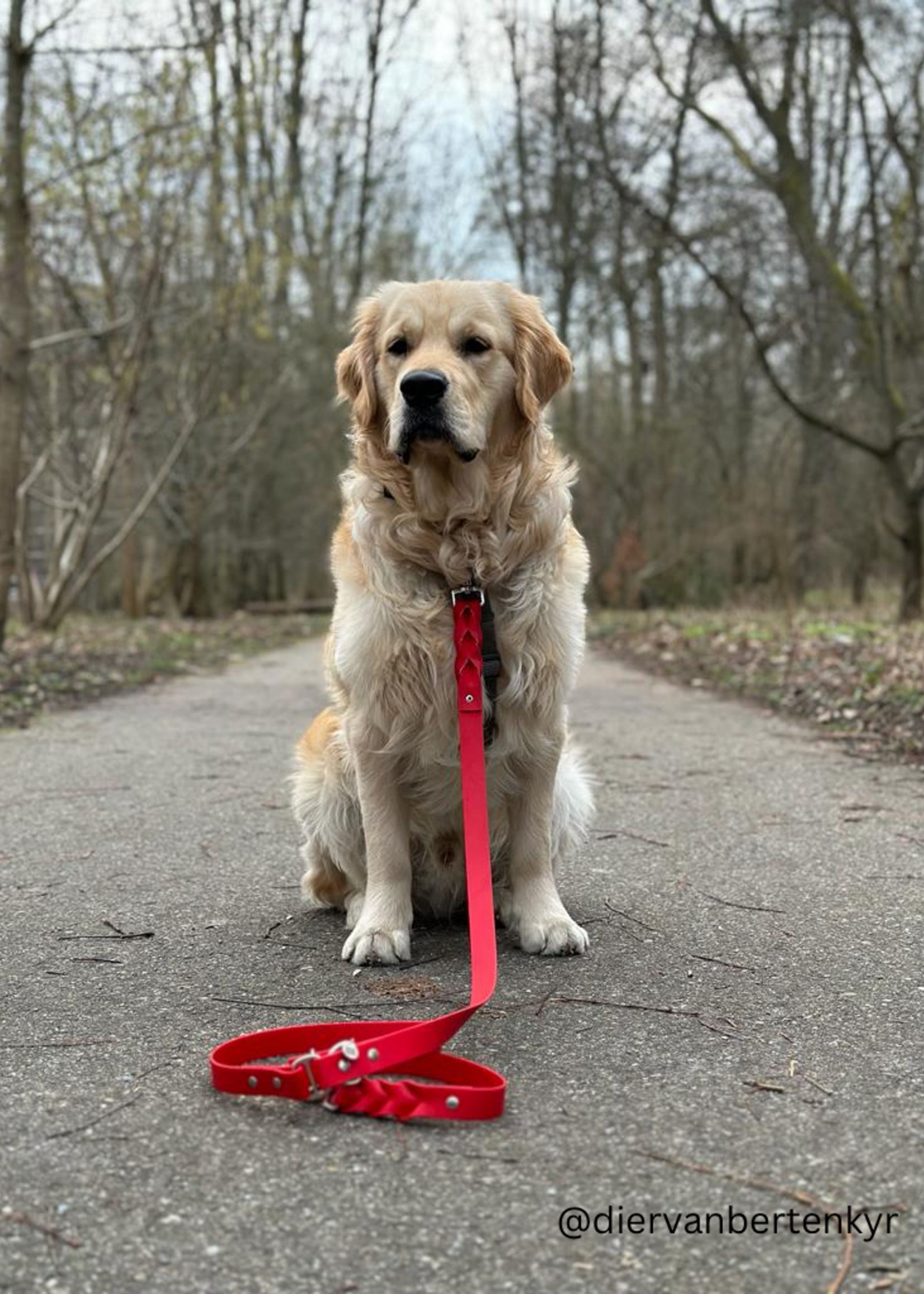 Riem red verstelbaar 200cm