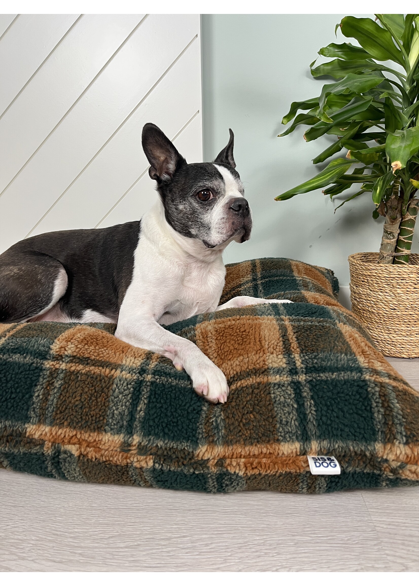 Sauvage dog bed