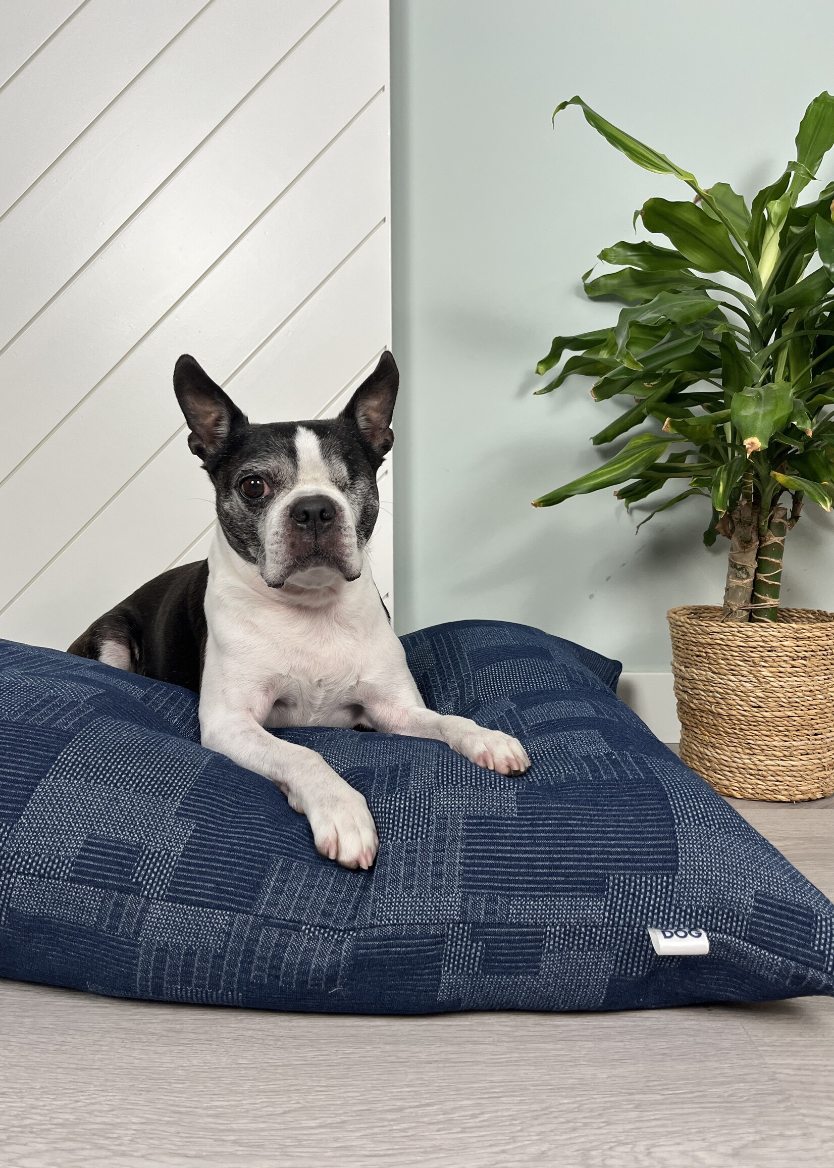Phantom dog bed