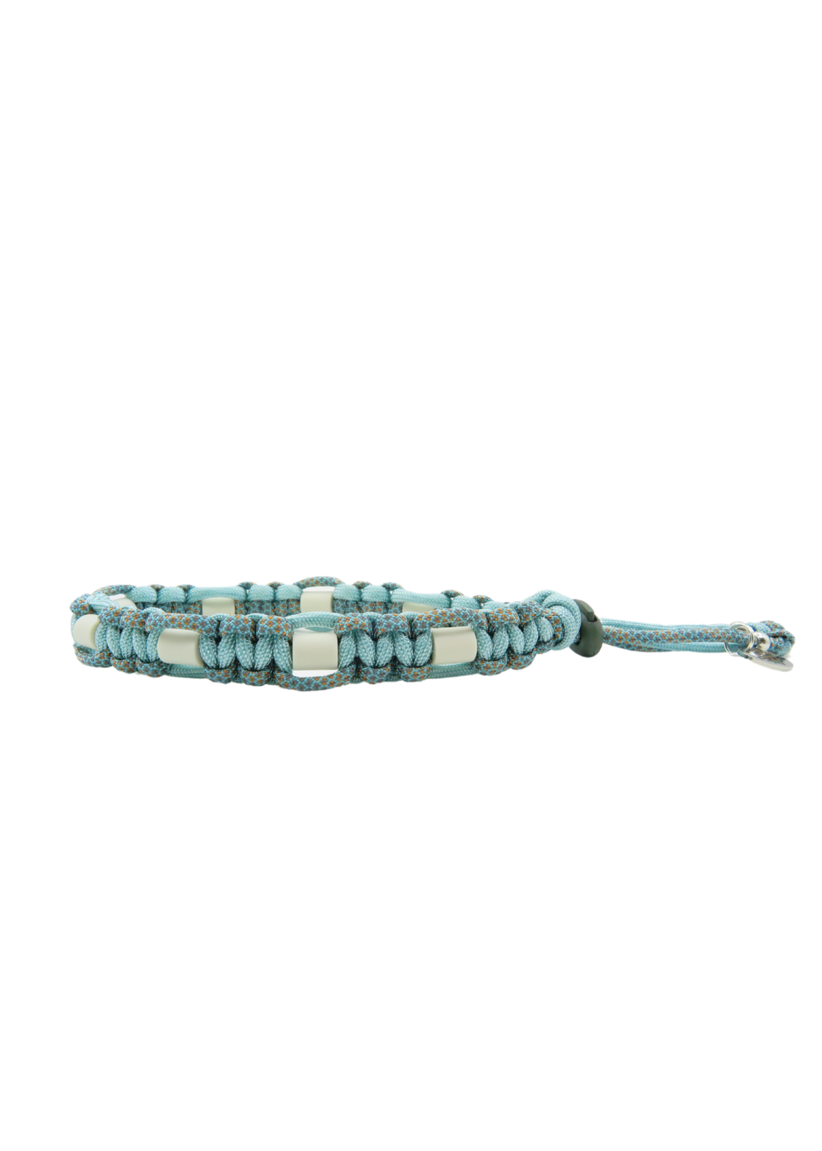 Turtle flat dog anti tick collar