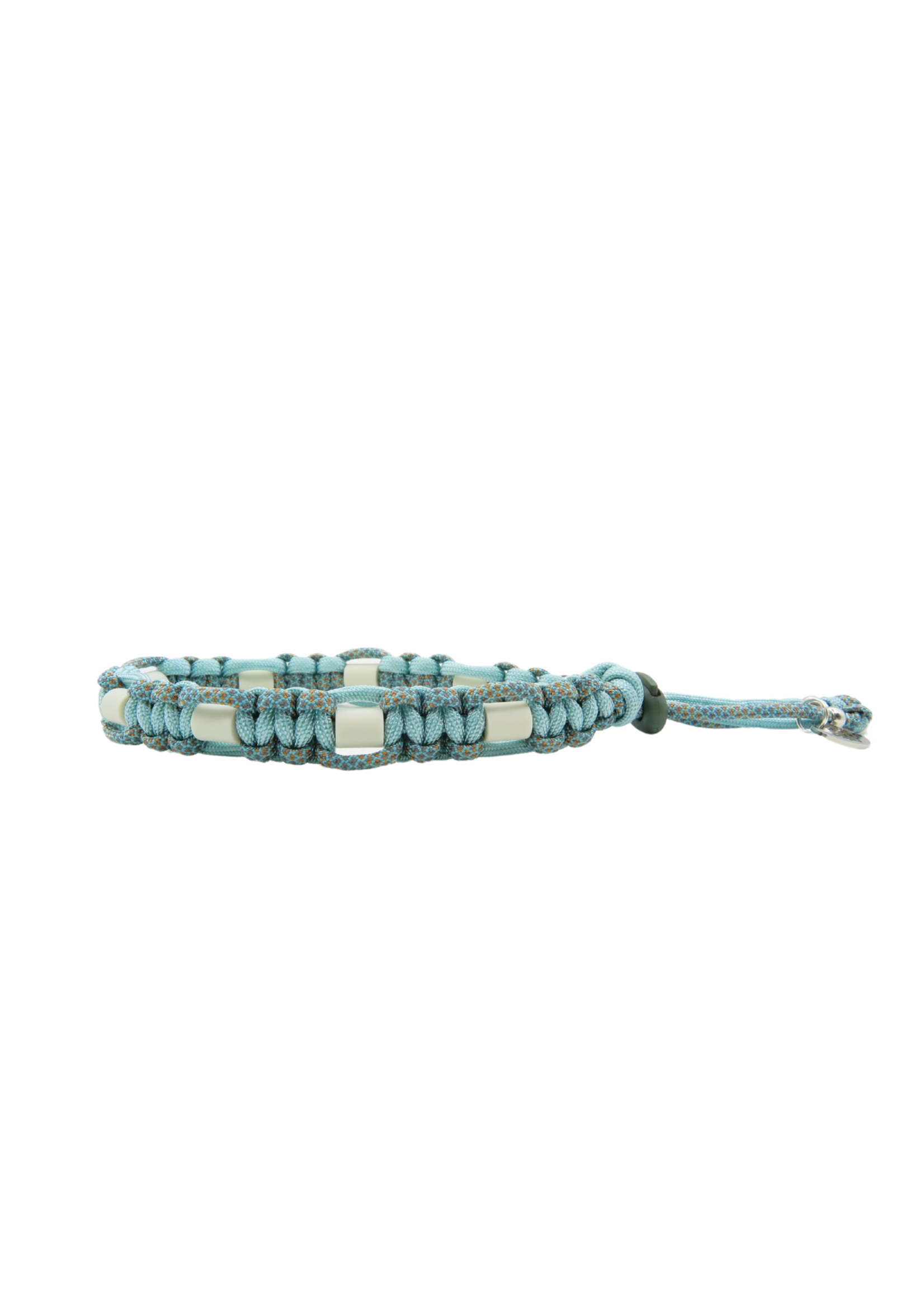 Turtle platte honden tekenband