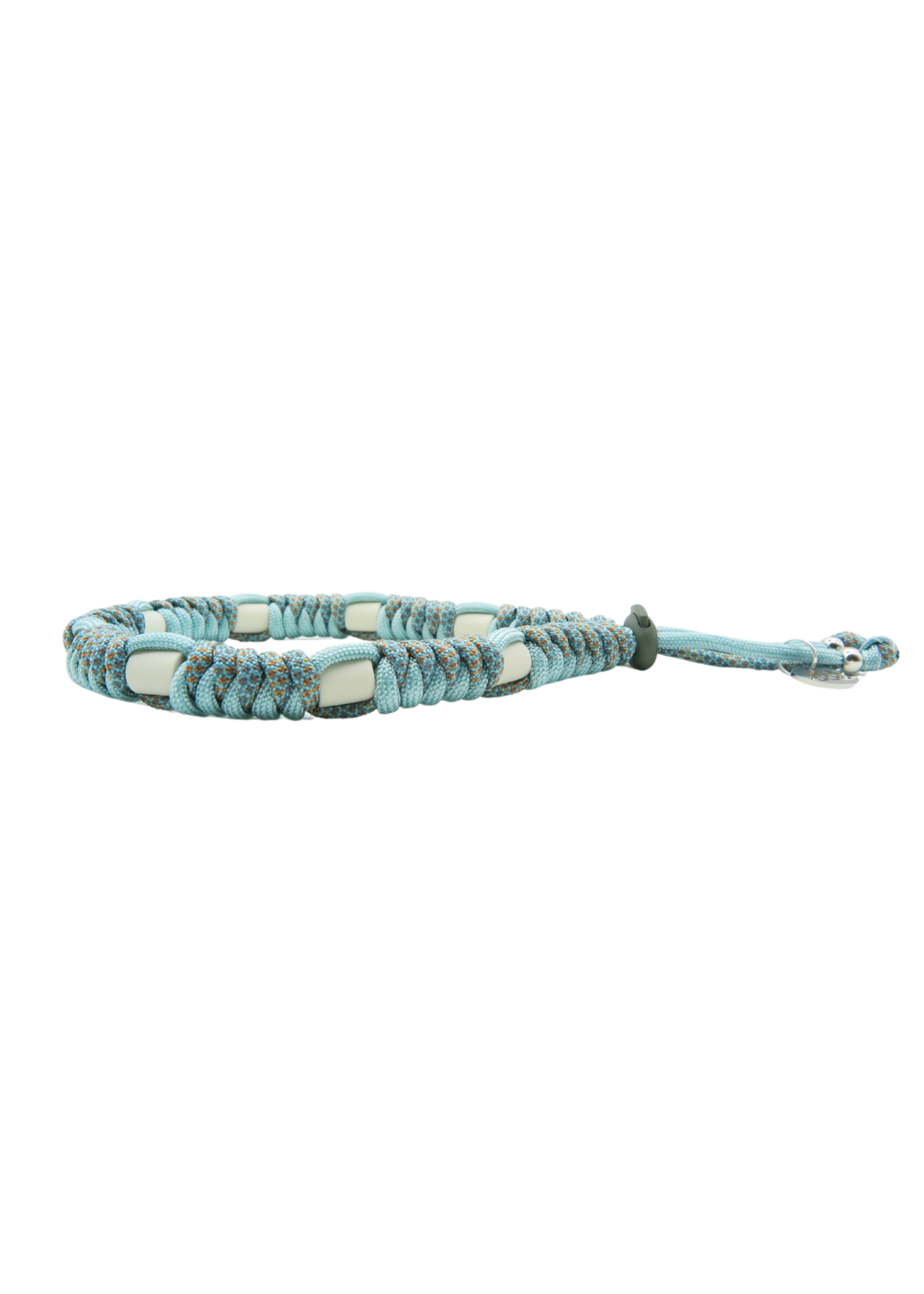 Turtle ronde honden tekenband