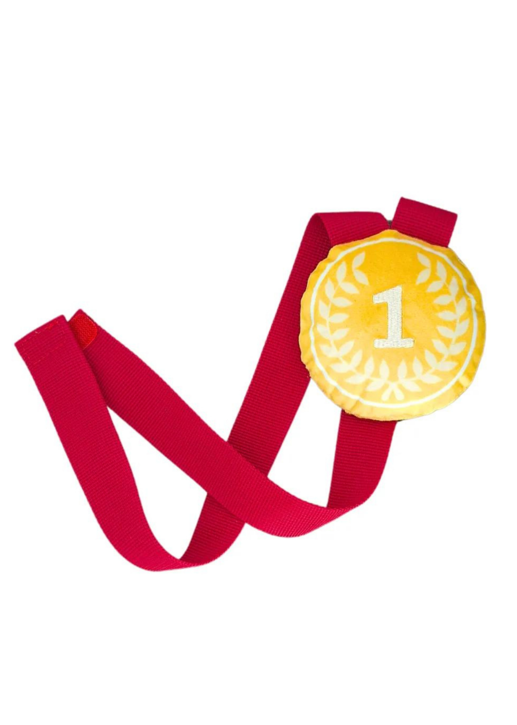 Pawstory - Doglympic gold medal