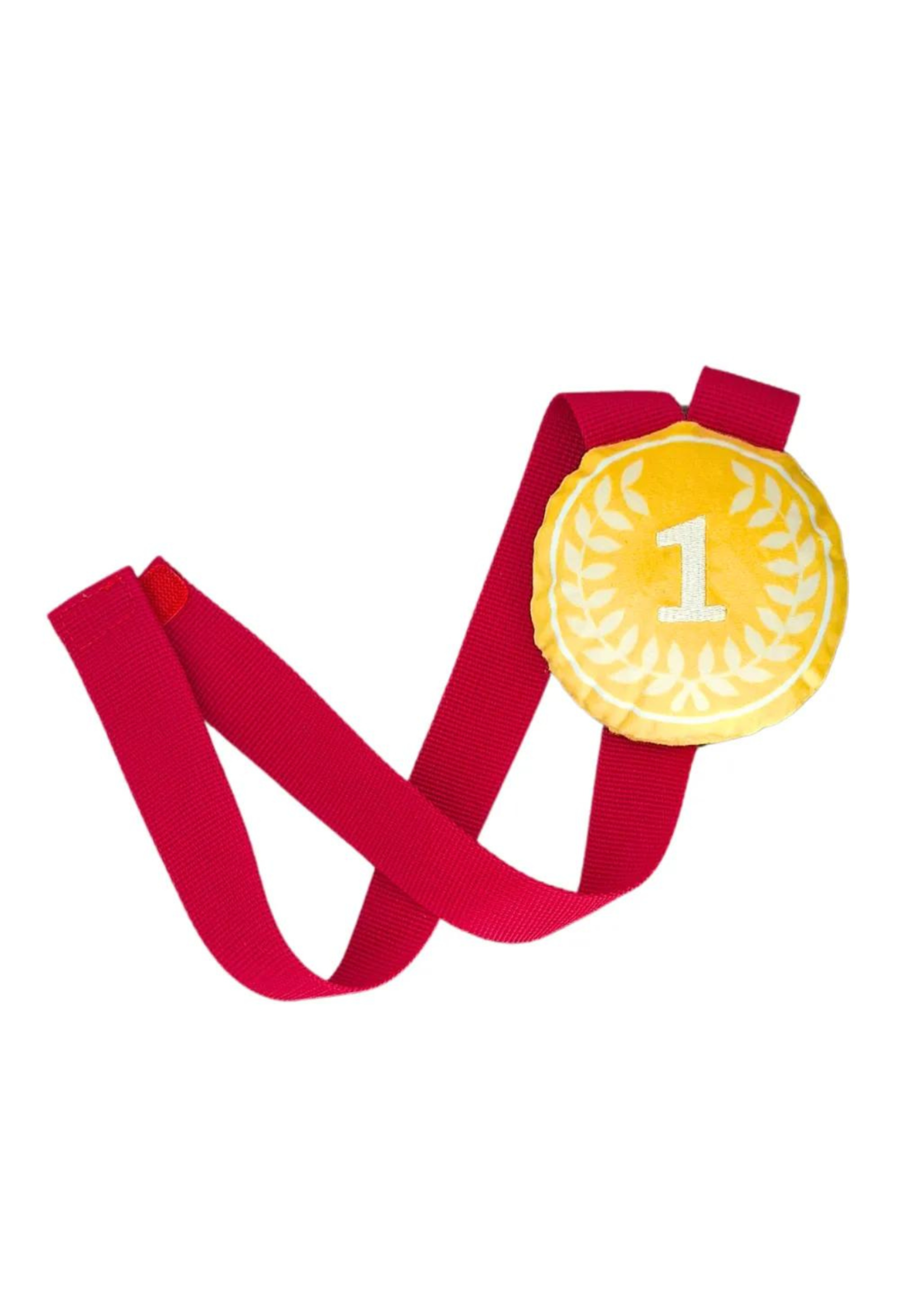 Pawstory - Doglympic gold medal