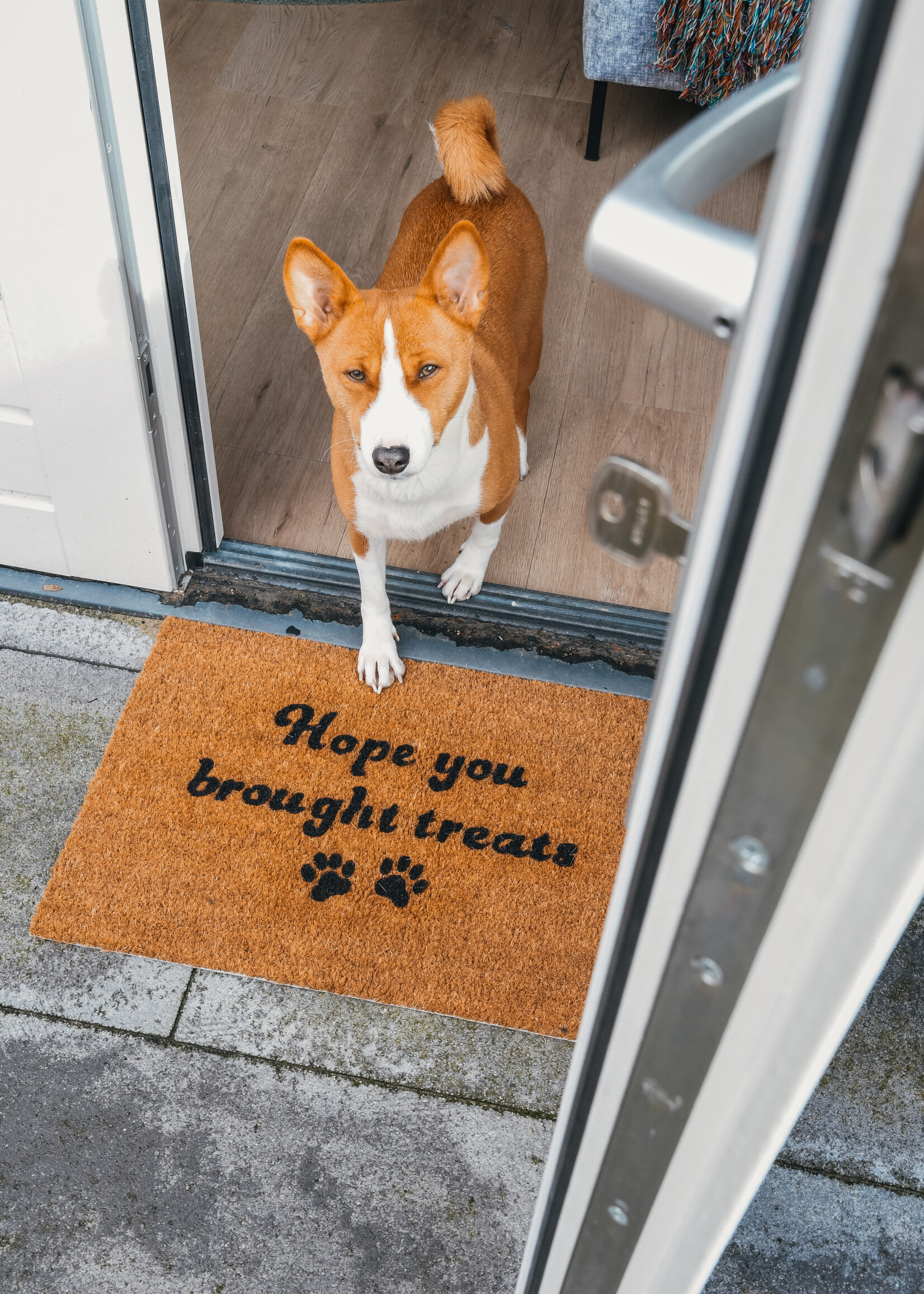 Hope you brought treats doormat