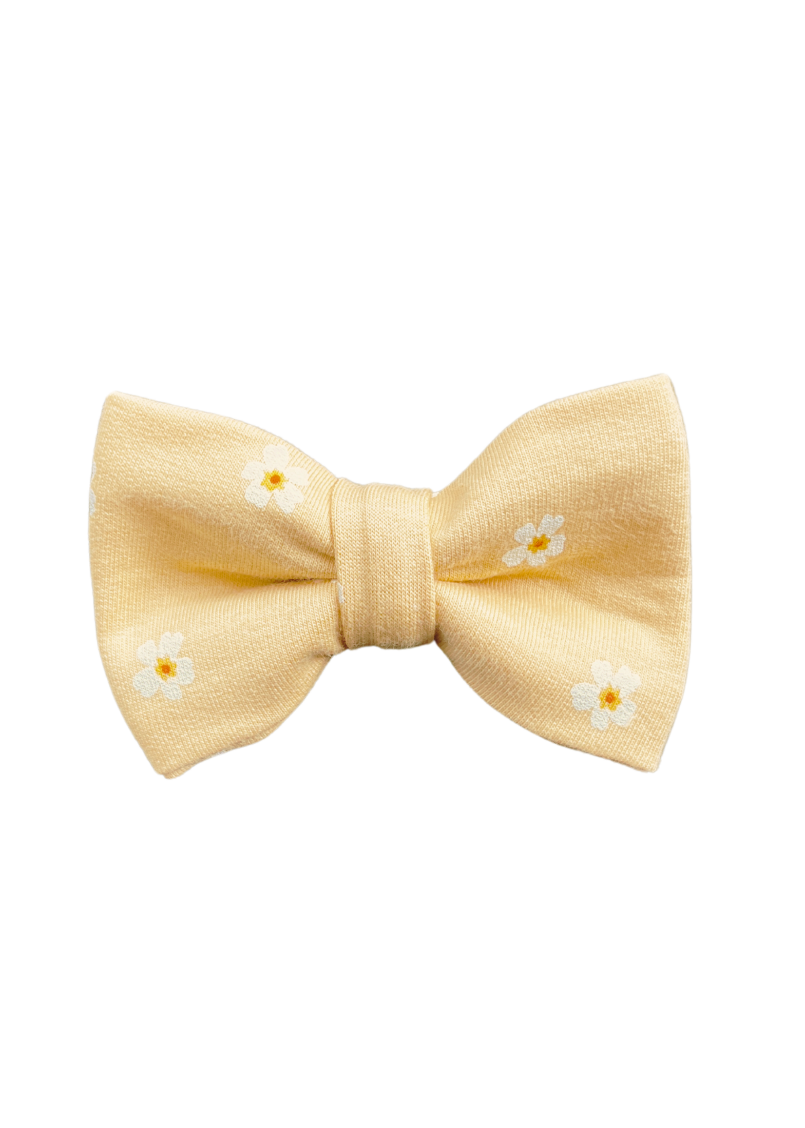 Spring bowtie