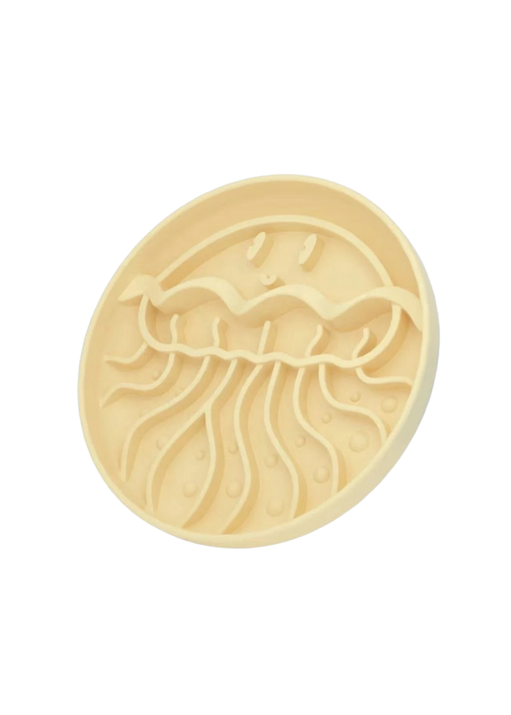 Jellyfish