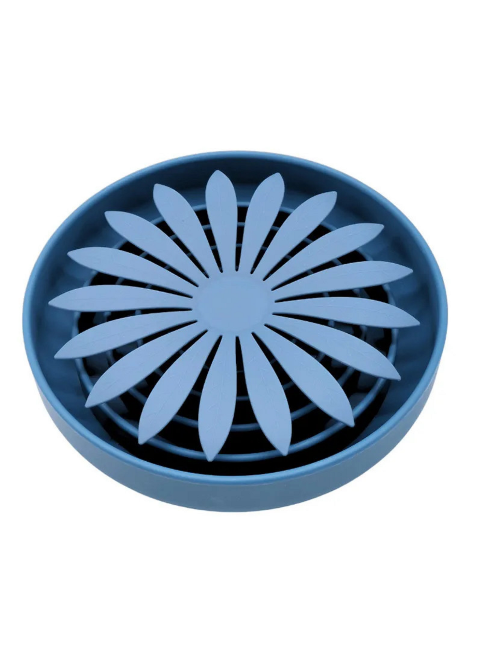 Daisy - 4 kleuren