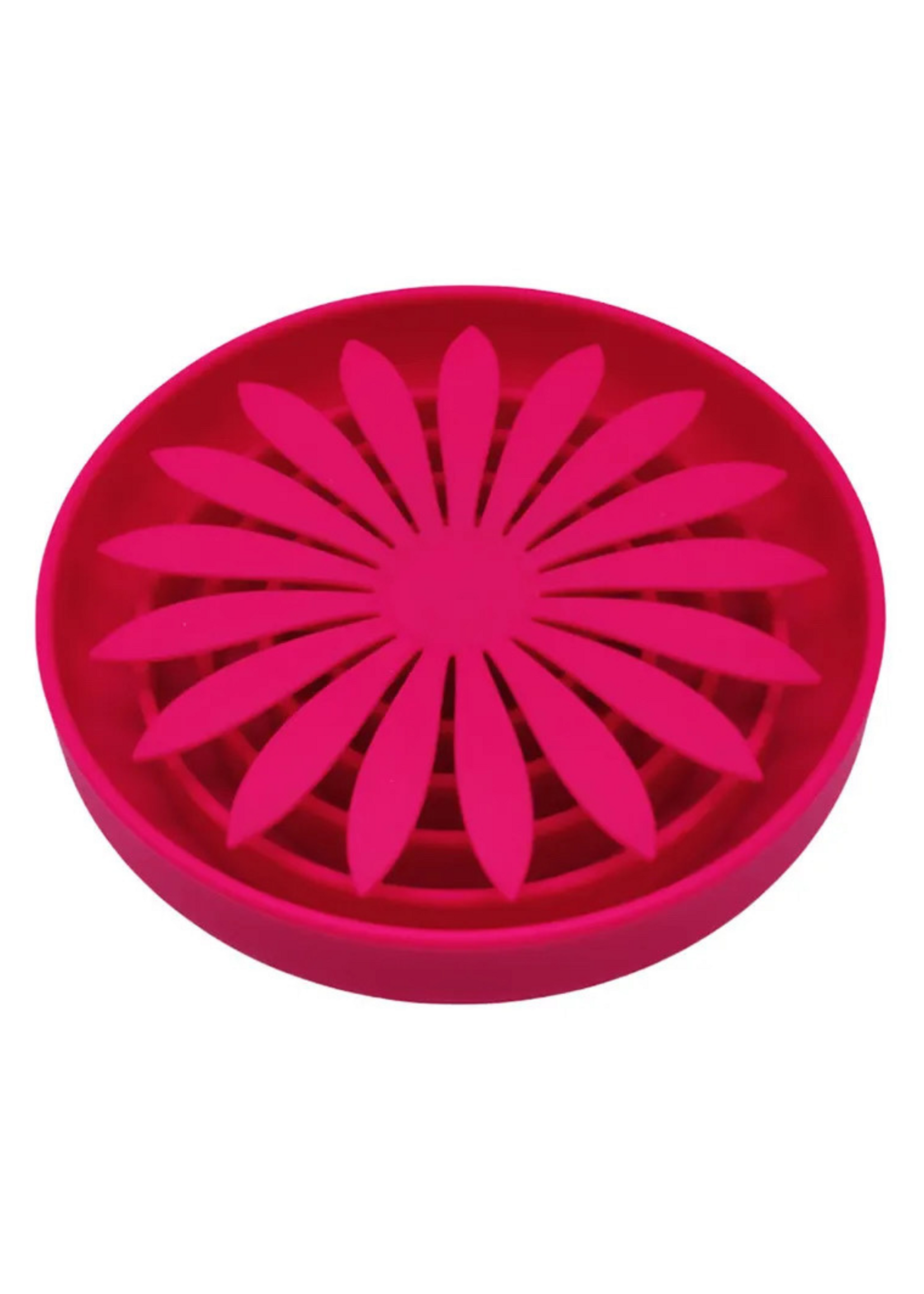 Daisy - 4 colors