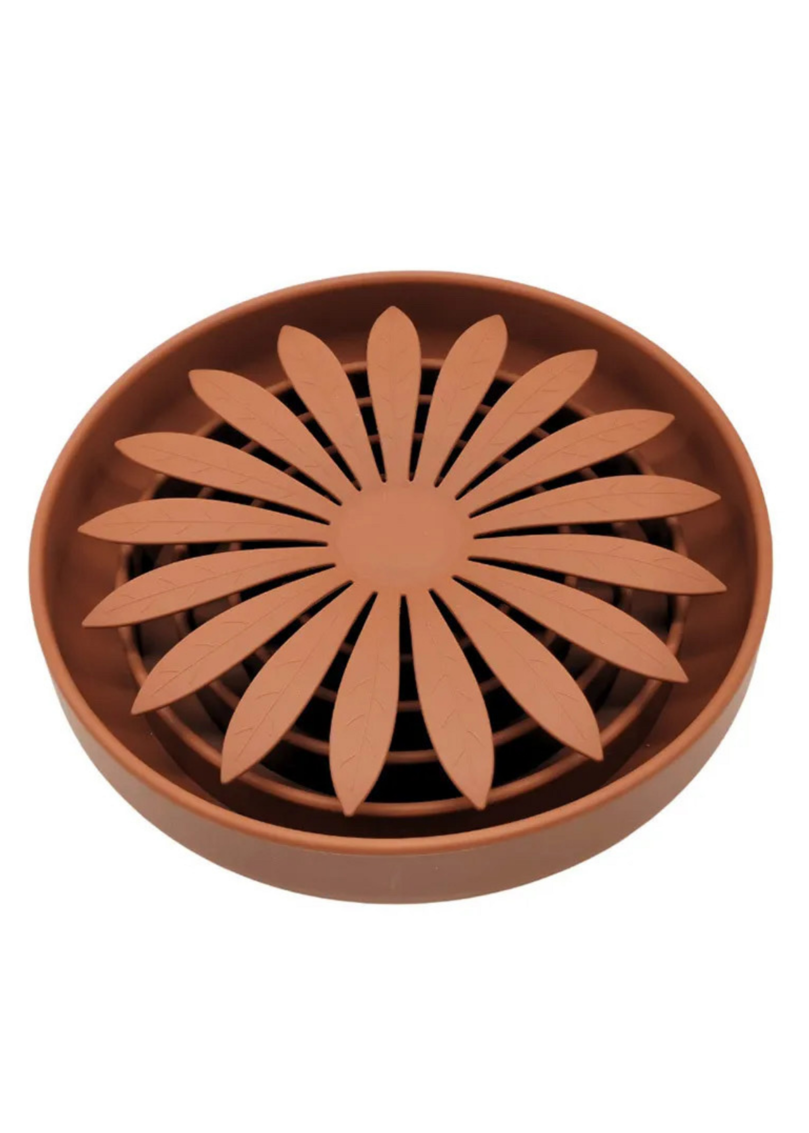 Daisy - 4 colors