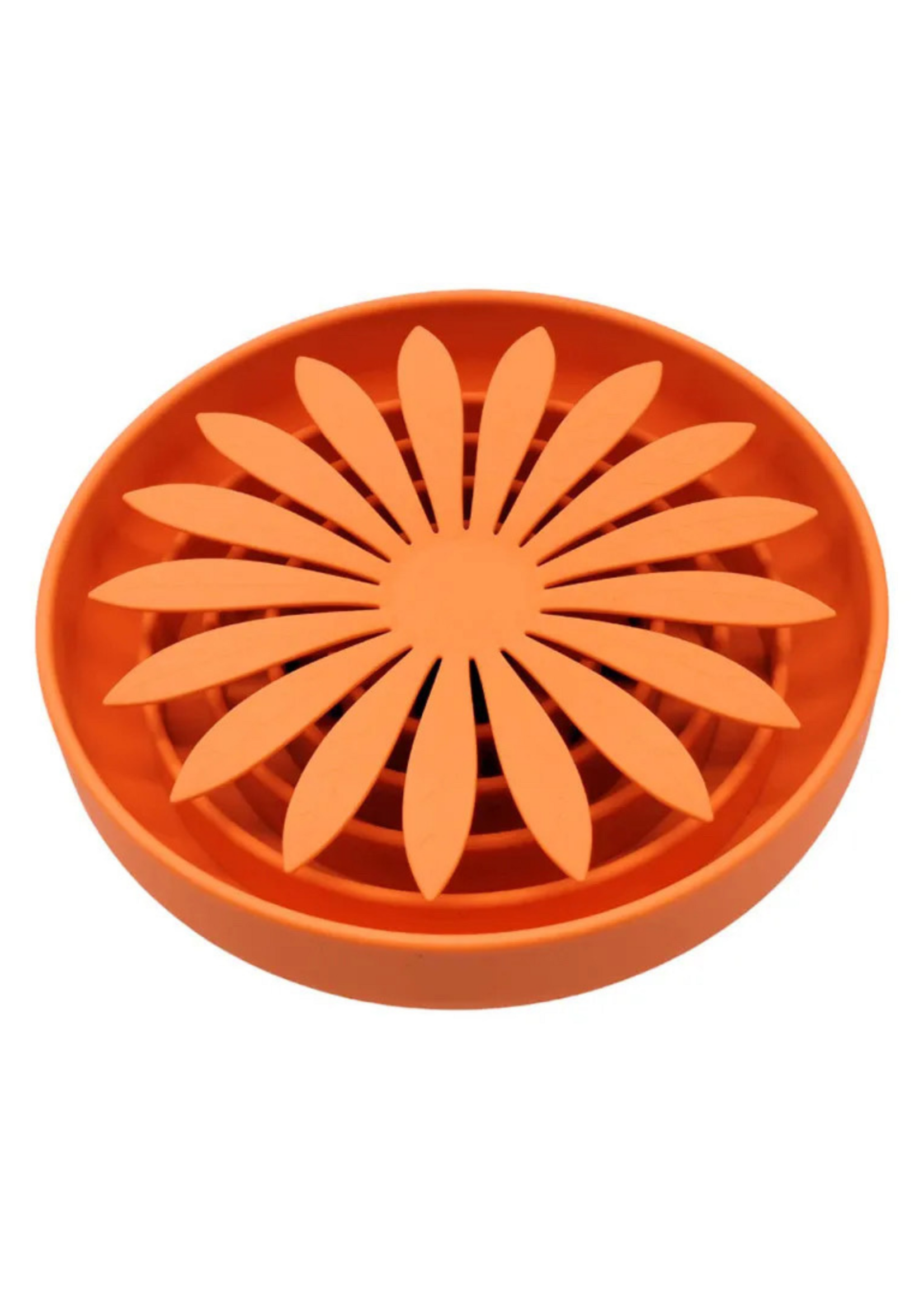 Daisy - 4 colors