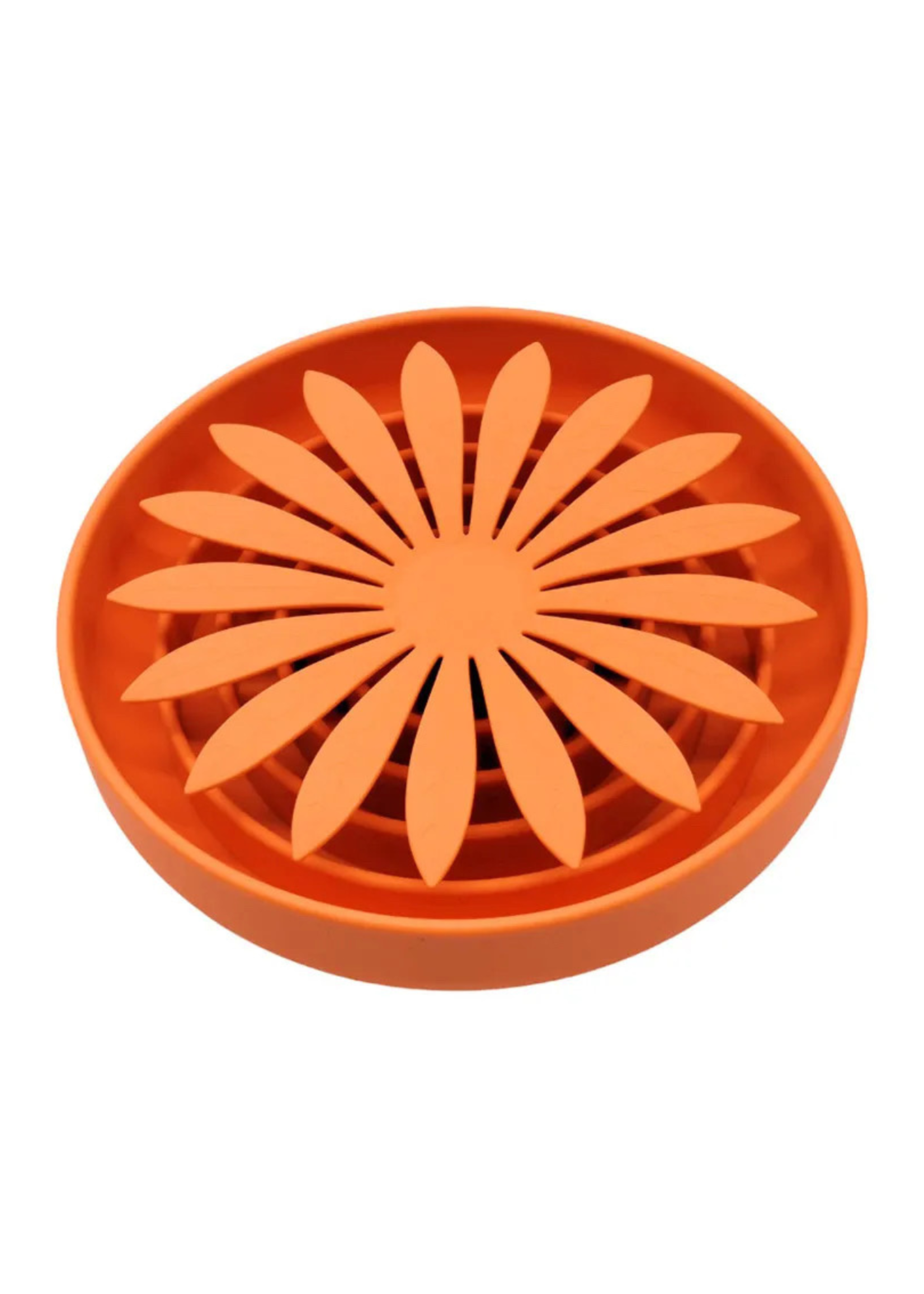 Daisy - 4 colors
