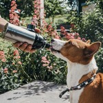 Waterbottles -25%